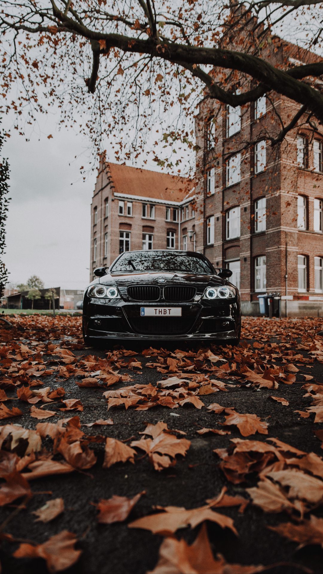 1080x1920 Download wallpaper 1080x1920 bmw m bmw, car, black, front view, autumn samsung galaxy s s note, sony xperia z, z z z htc one, lenovo vibe HD background