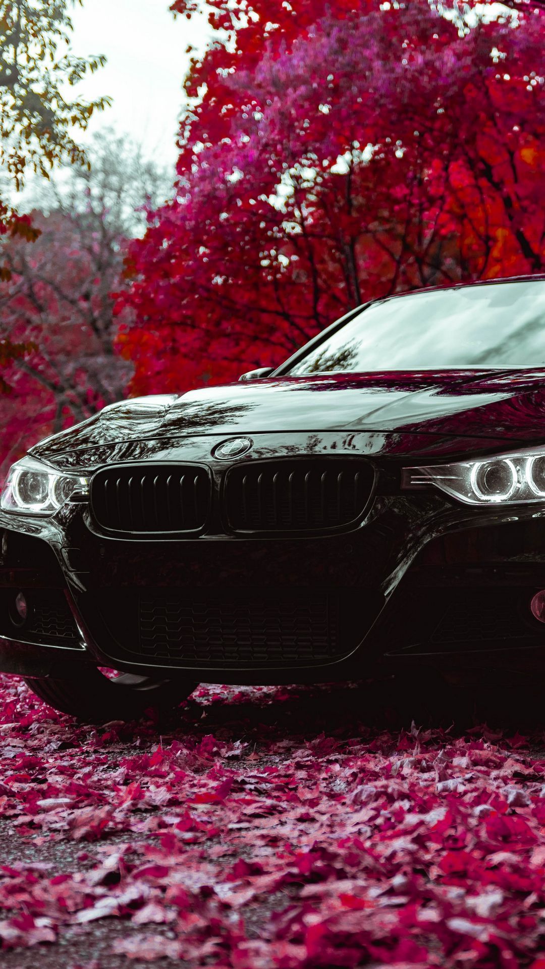 1080x1920 Download wallpaper 1080x1920 bmw f30 335i, bmw, car, black, front view samsung galaxy s s note, sony xperia z, z z z htc one, lenovo vibe HD background