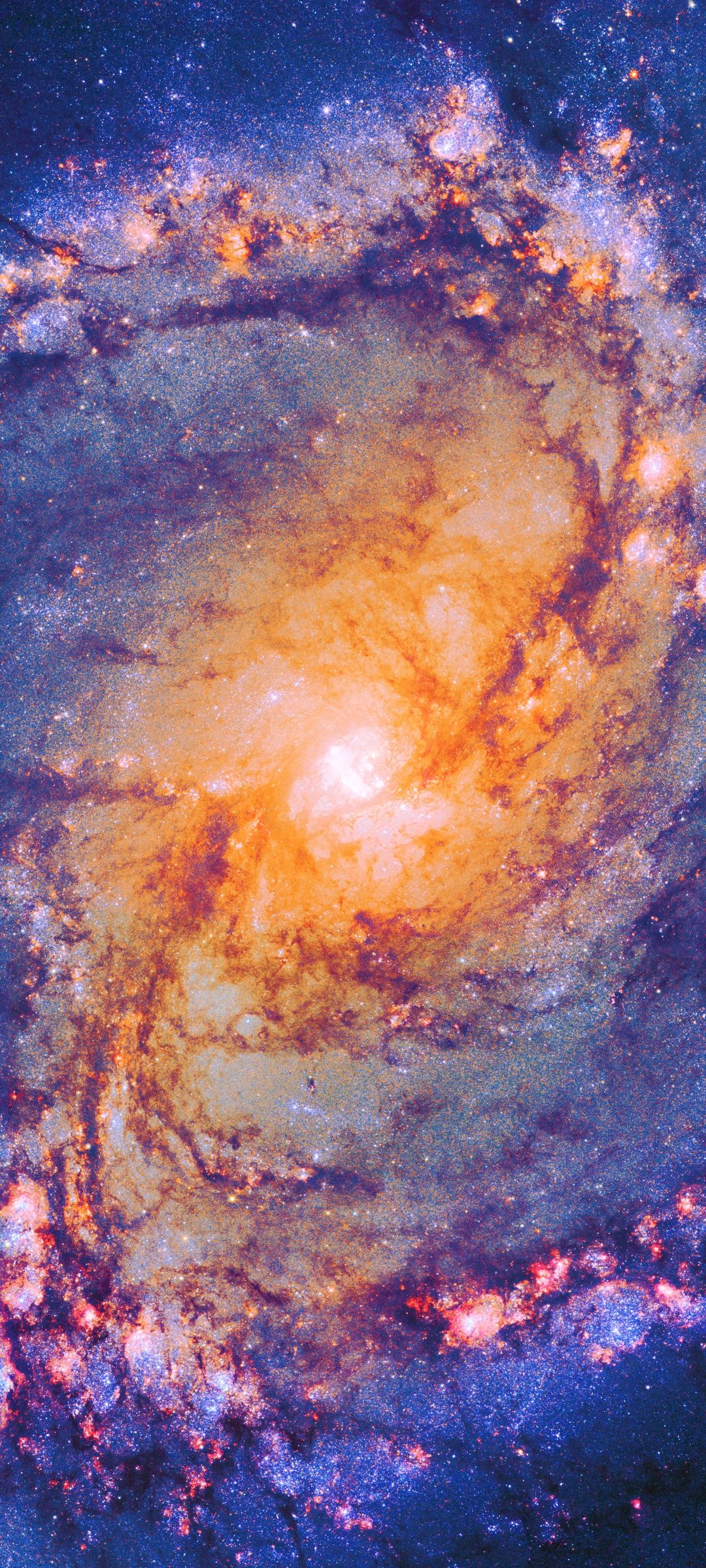 1080x2400 1080x2400 Mobile 9:20 High Quality Desktop Wallpaper for UltraHD TV, Smartphone, Tablet