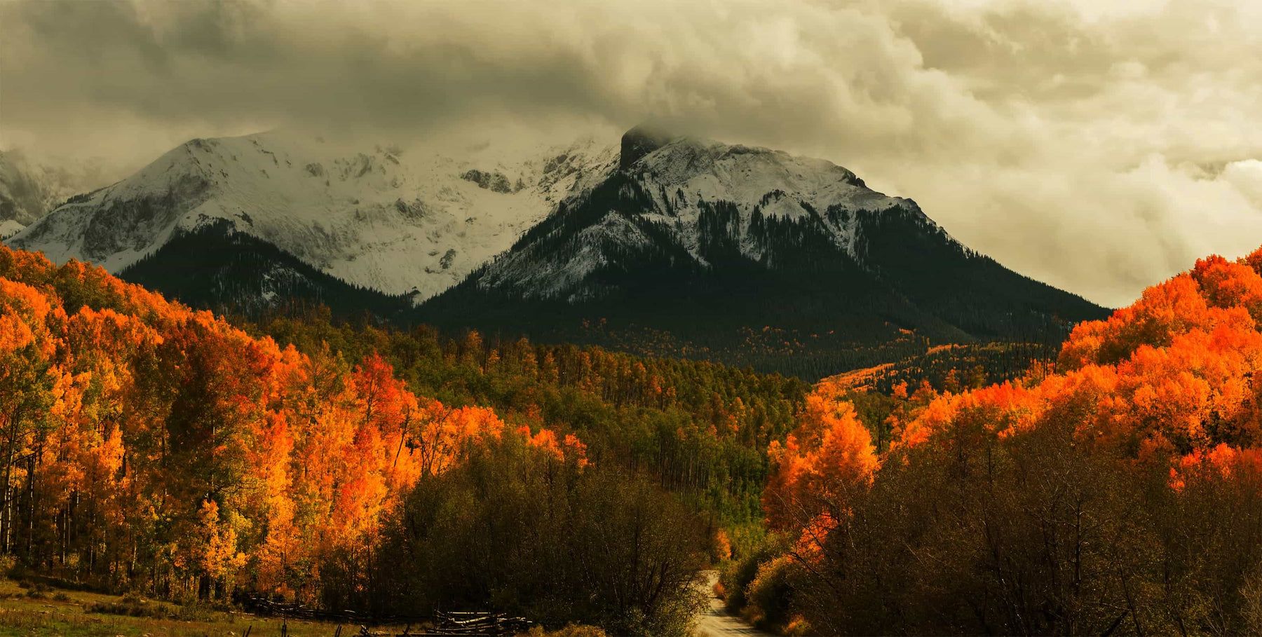 1800x909 Harvest in the Colorado Mountains