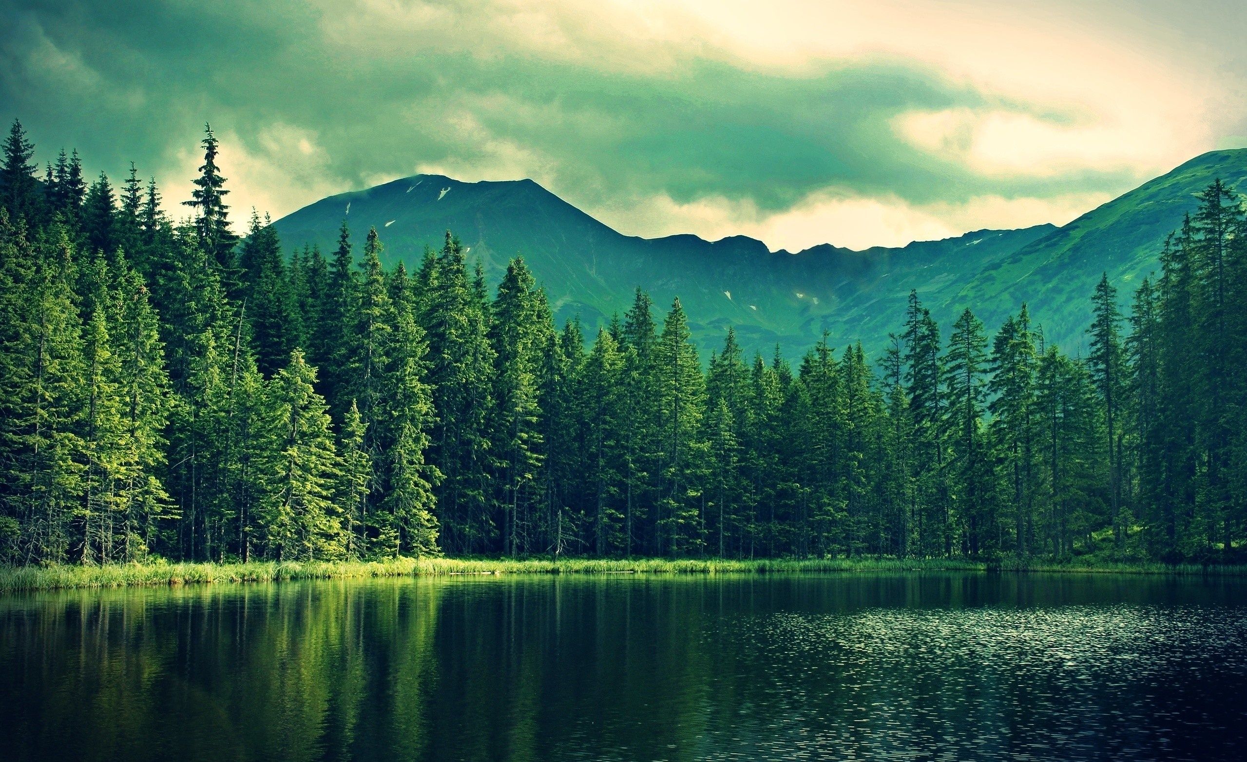 2559x1565 Wallpaper forest, mountains, nature, lake, overcast, fishing, beautiful for mobile and desktop, section природа, resolution 2559x1565