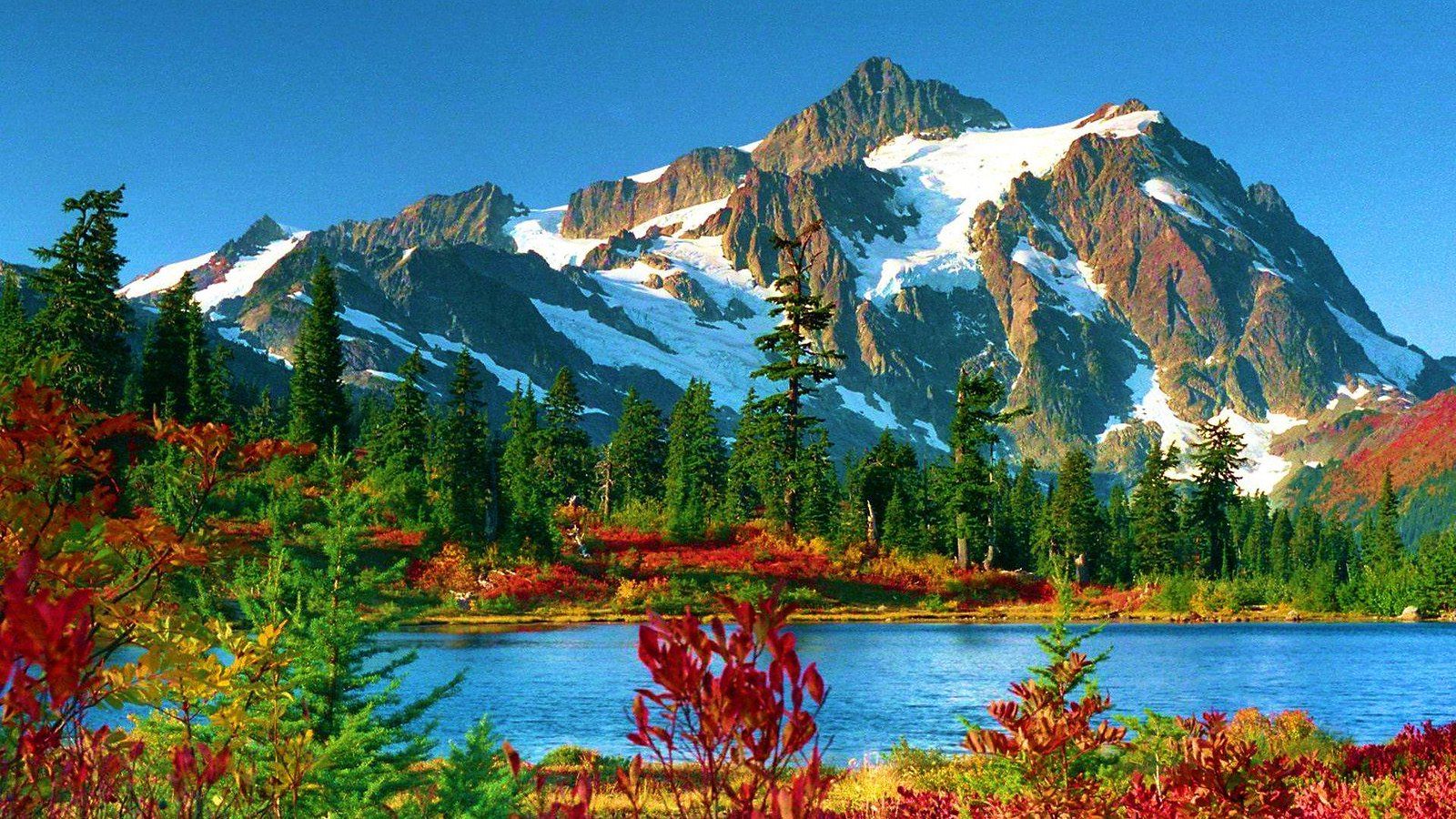 1600x900 Mountain Forest Wallpaper. Free Download Mountain Forest Wa