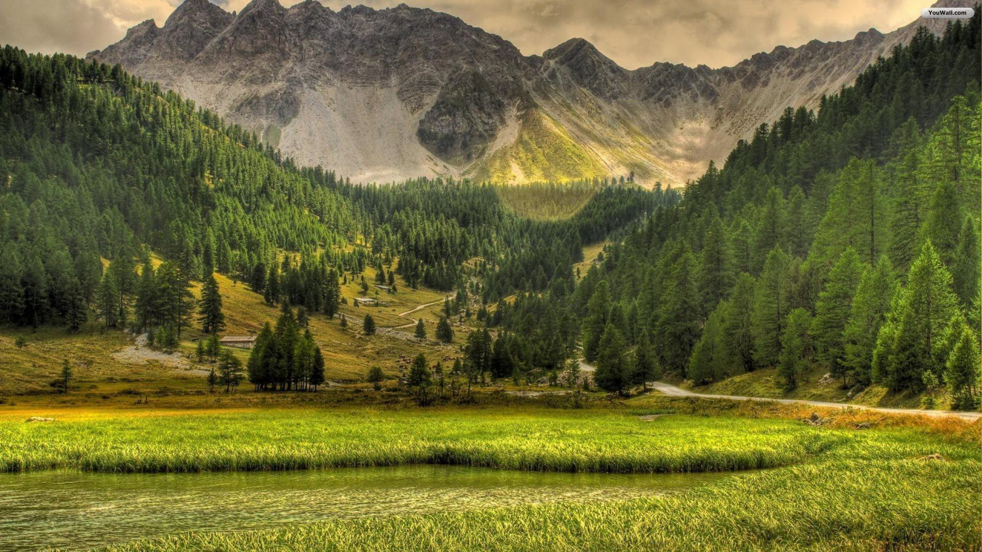 1920x1080 Mountain Forest High Definition Wallpaper 25754