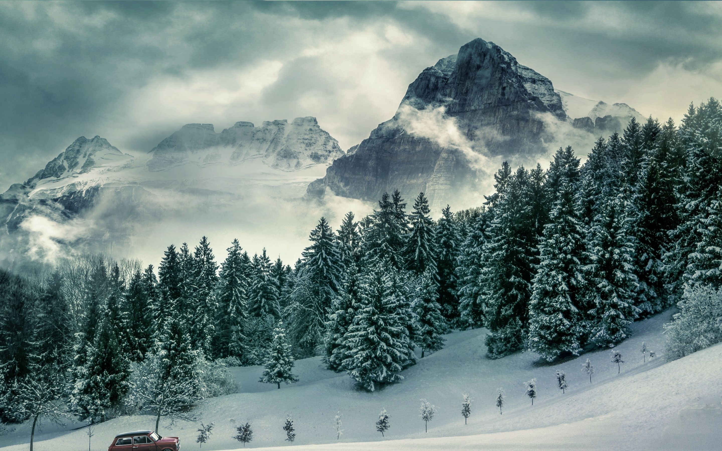 2880x1800 Pine trees Wallpaper 4K, Winter, Forest, Mountains, Peak