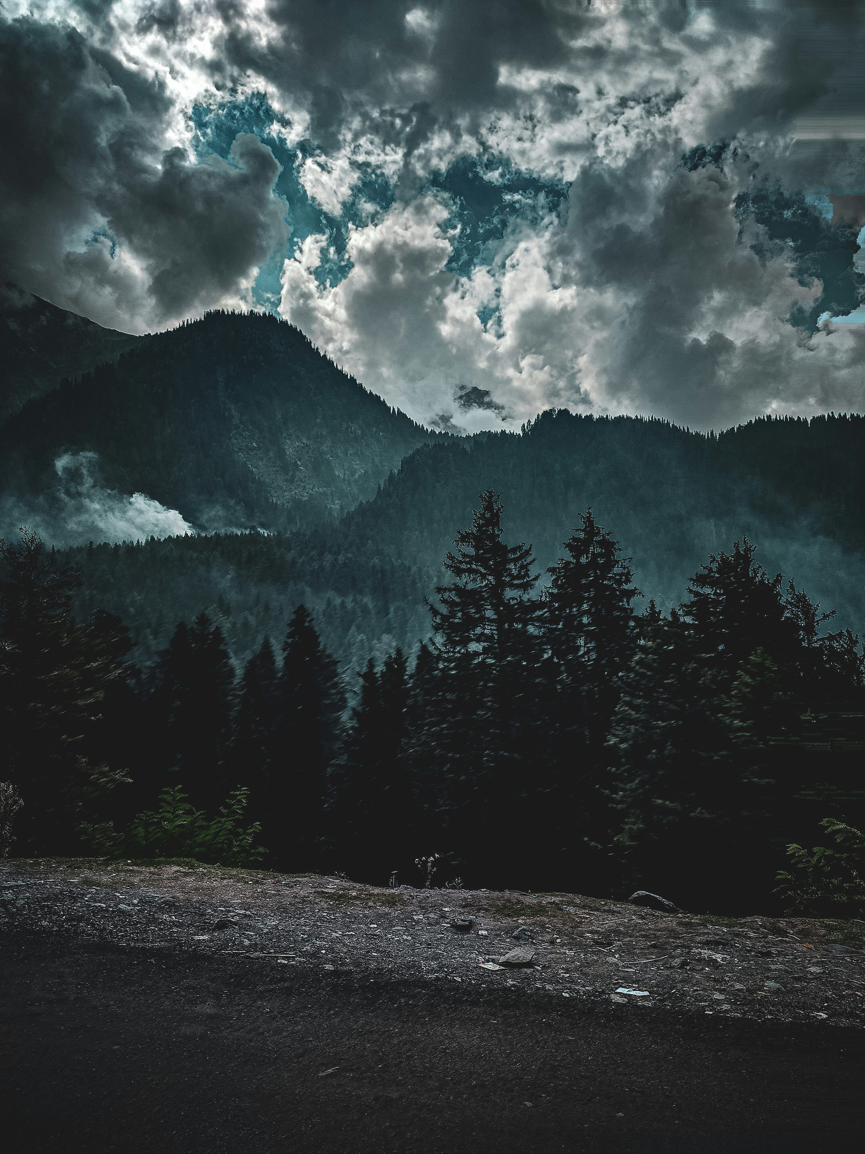 3000x4000 A dark forest with a mountain in the background photo