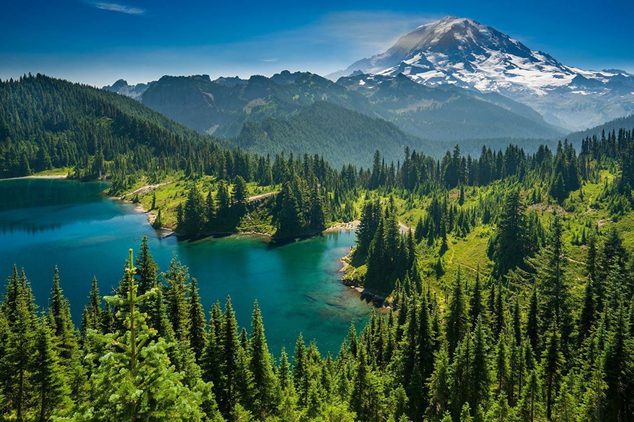 1280x853 Mountain Forest Wallpaper