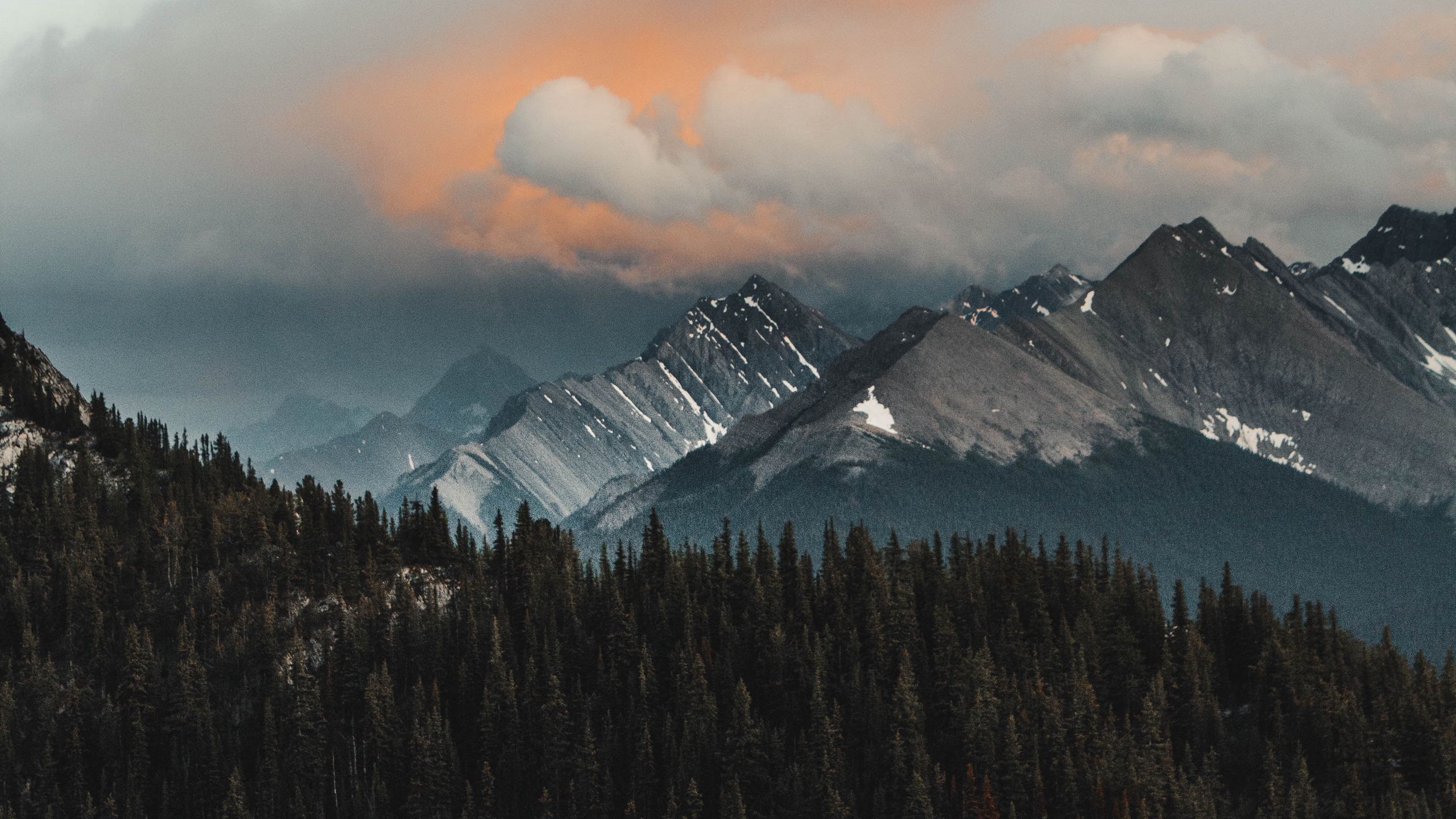 2560x1440 Download wallpaper 2560x1440 mountains, forest, clouds, mountain range, landscape widescreen 16:9 HD background