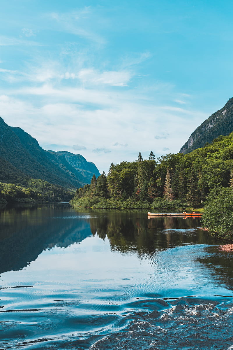 800x1200 Lake, forest, mountains, landscape, shore, trees, HD phone wallpaper