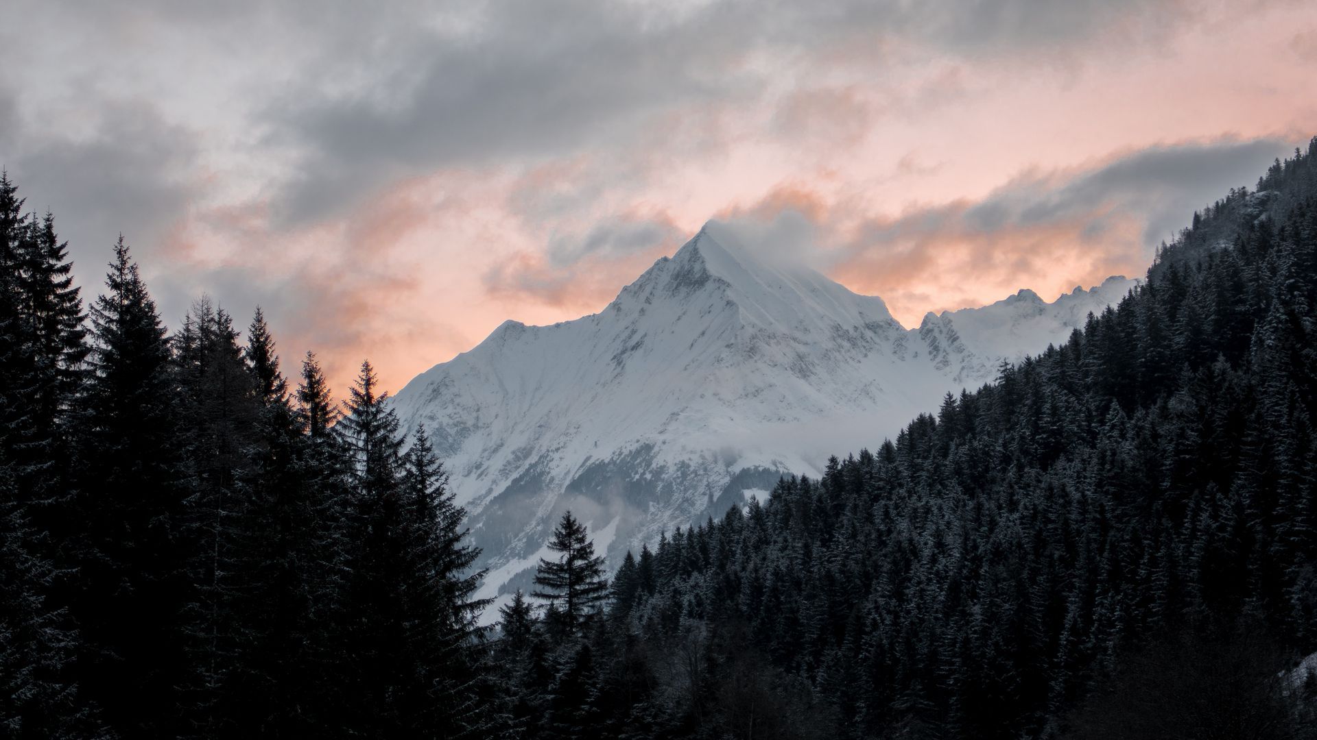 1920x1080 Download wallpaper 1920x1080 mountain, forest, trees, peak, clouds, landscape full hd, hdtv, fhd, 1080p HD background