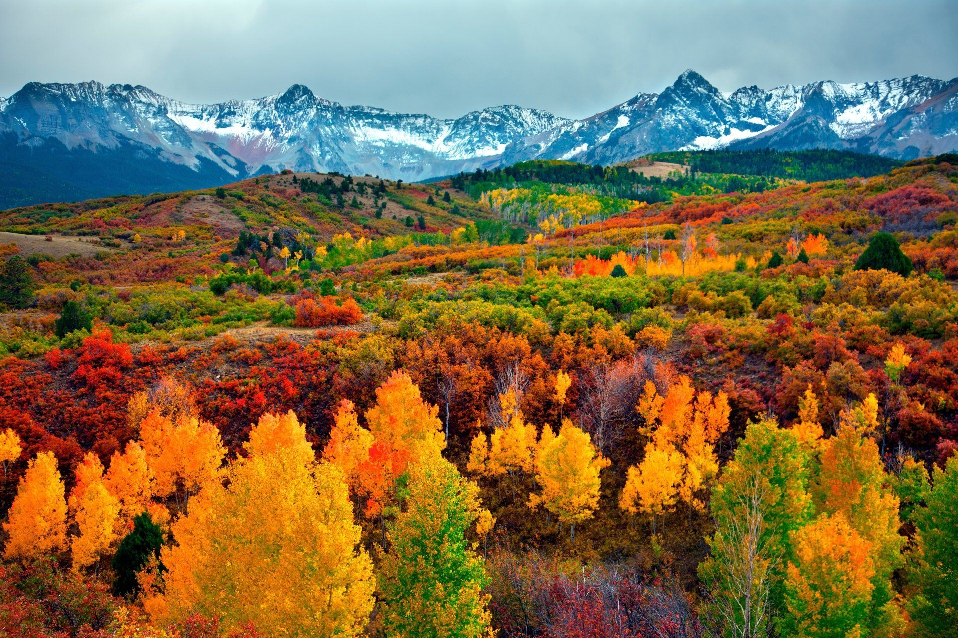 1920x1280 4K Ultra HD Fall Mountain Forest Landscape: Vibrant Nature at Its Peakx3744