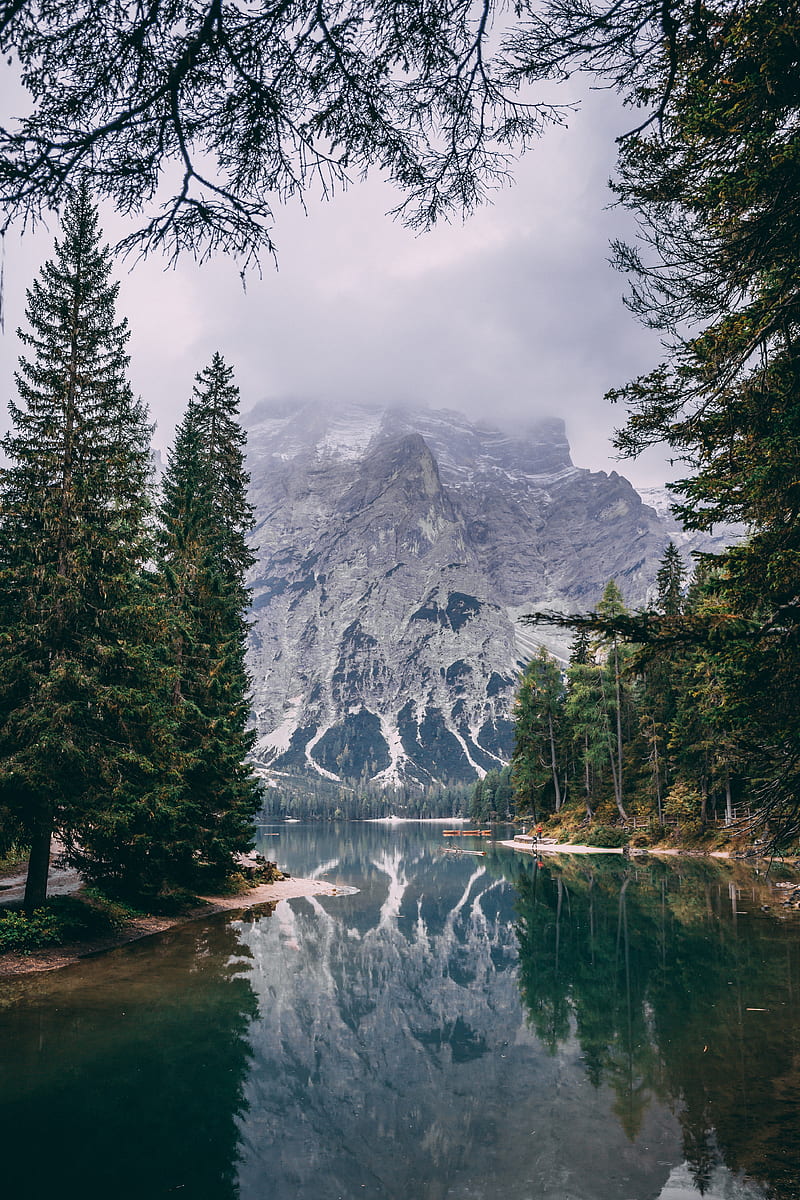 800x1200 Nature, trees, water, mountains, pine trees, calm waters, HD phone wallpaper