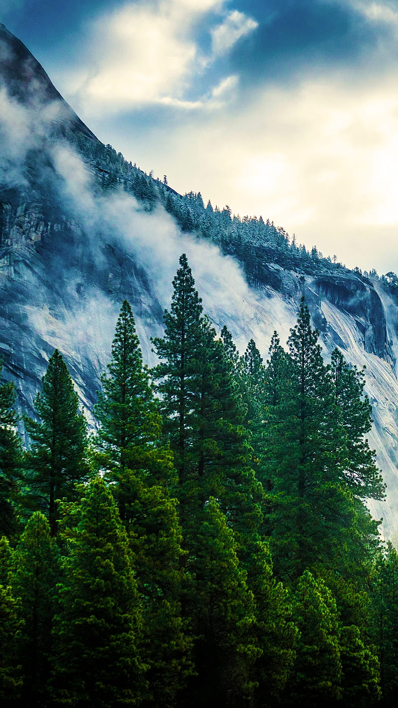 800x1422 Mountains, forest, landscape, HD phone wallpaper