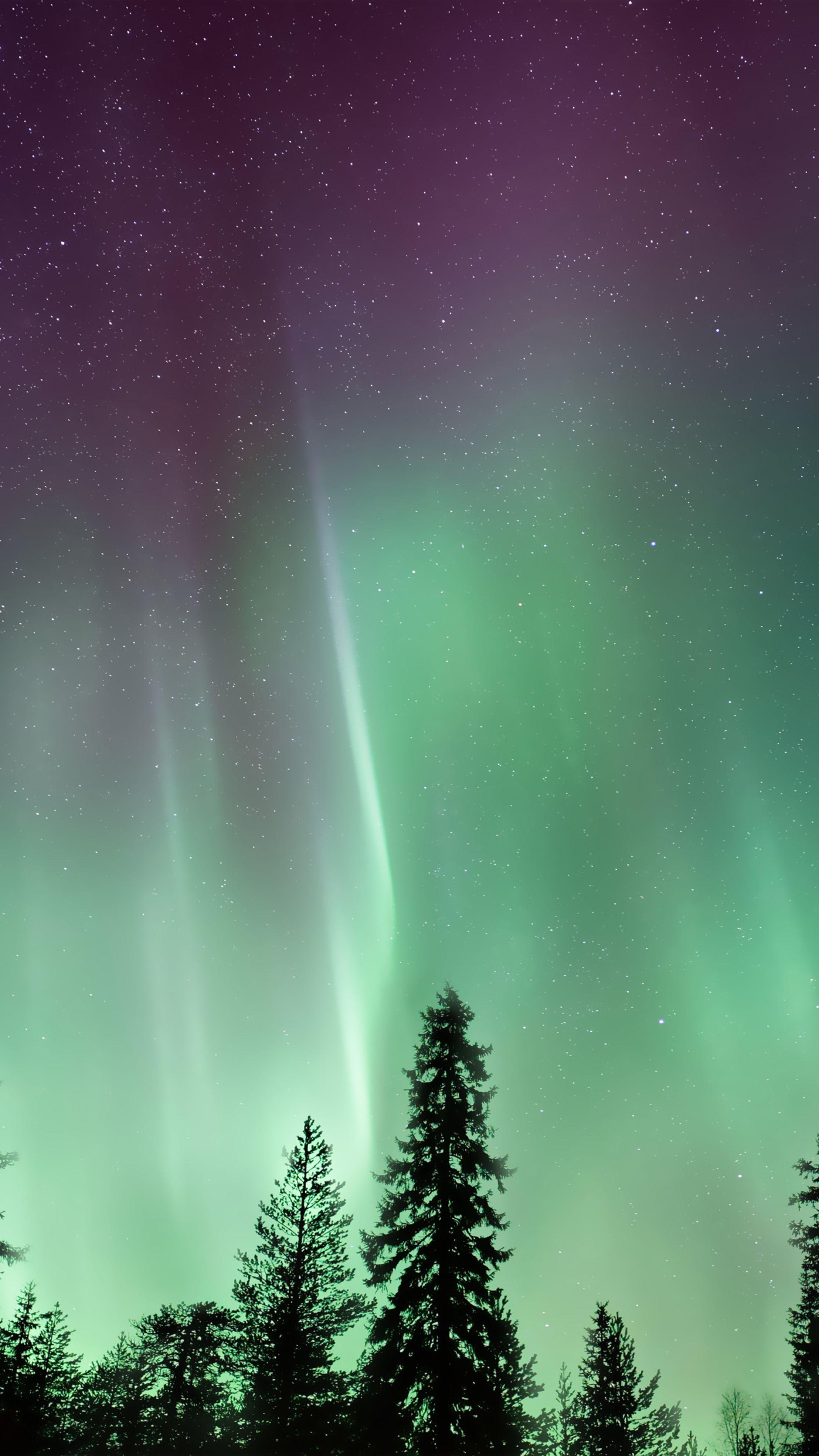 2160x3840 Amazing Northern Lights Aurora Borealis 4K Ultra HD Mobile Wallpaper