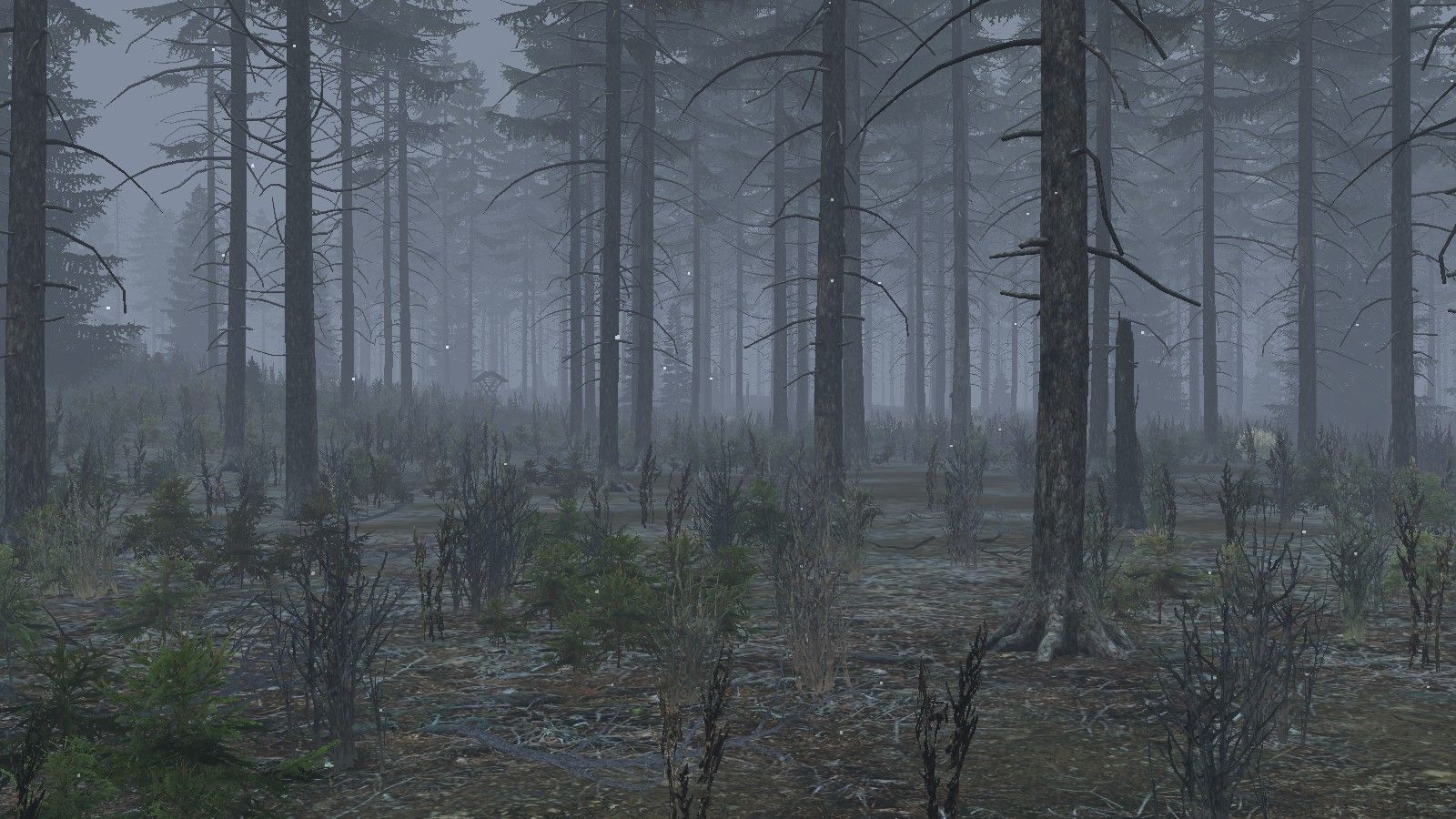 1600x900 Feb 2019 Status Update