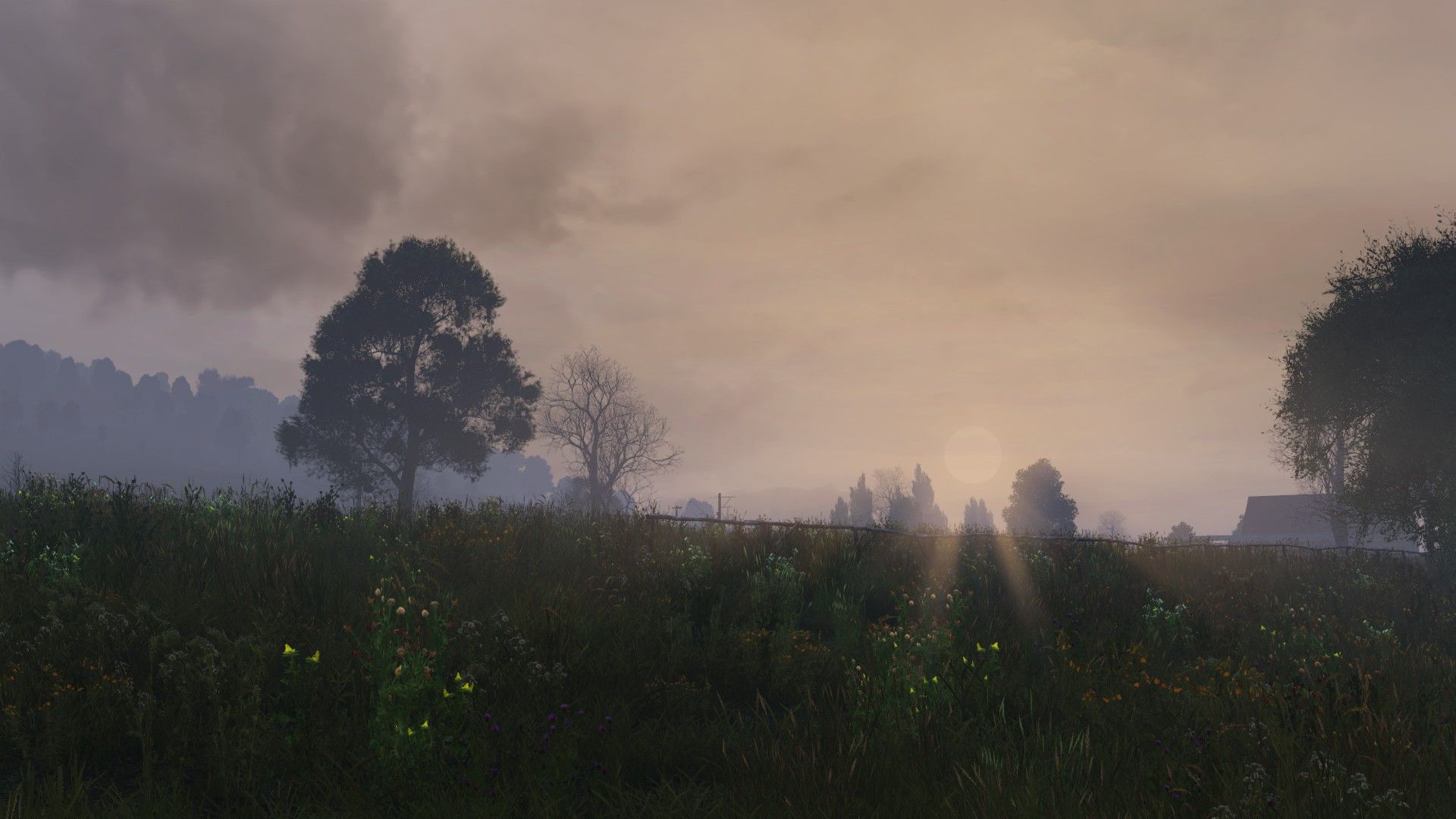 1920x1080 Namalsk