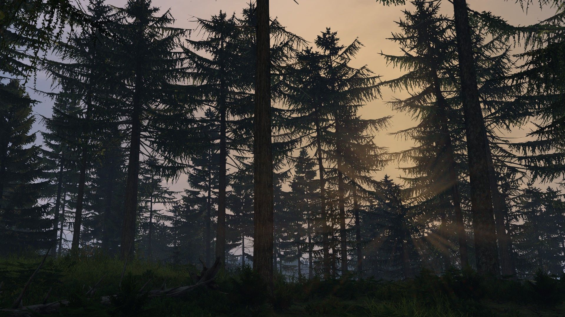 1920x1080 Namalsk