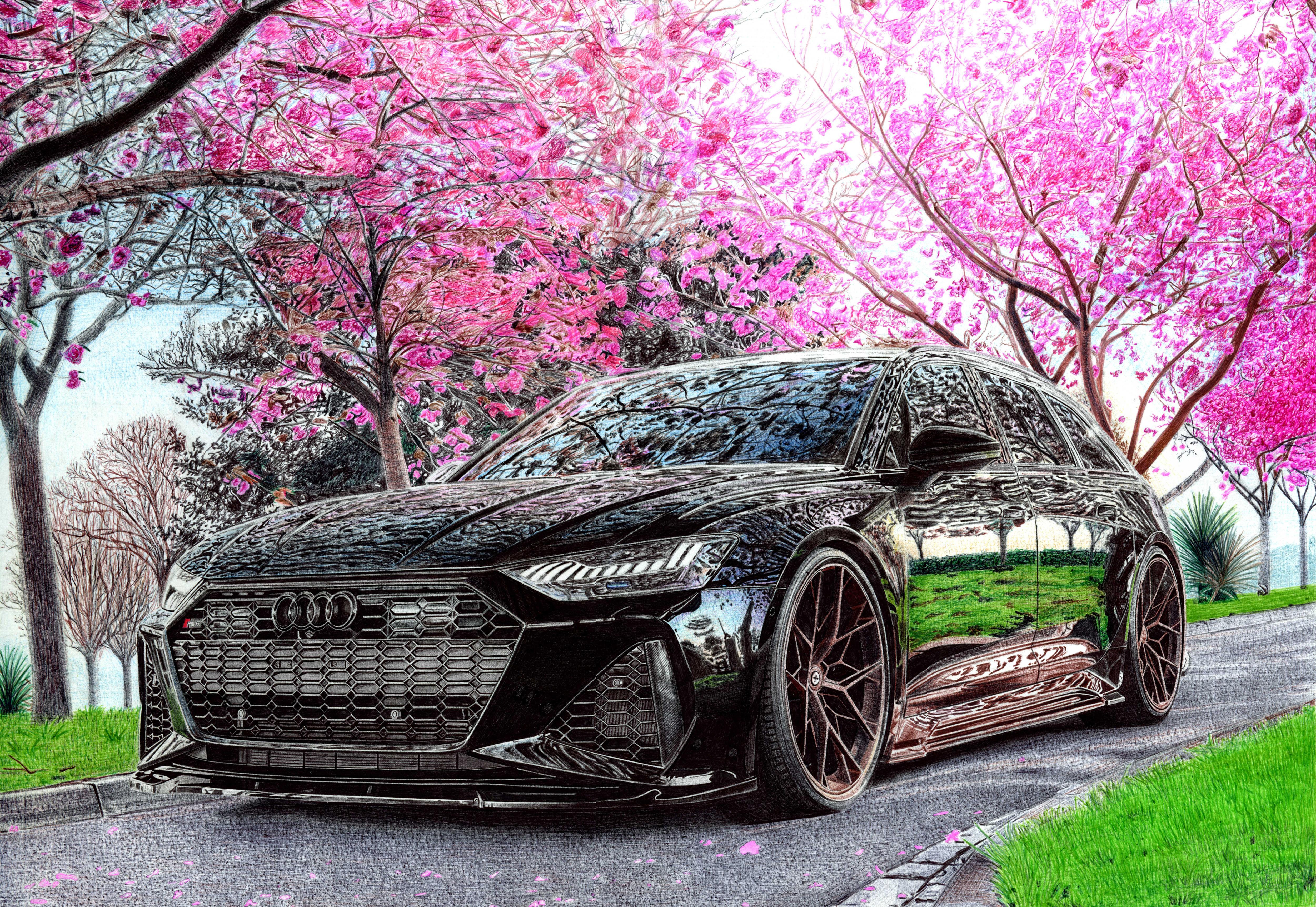 5000x3446 I made a drawing of RS6 C8 with ballpoint pens