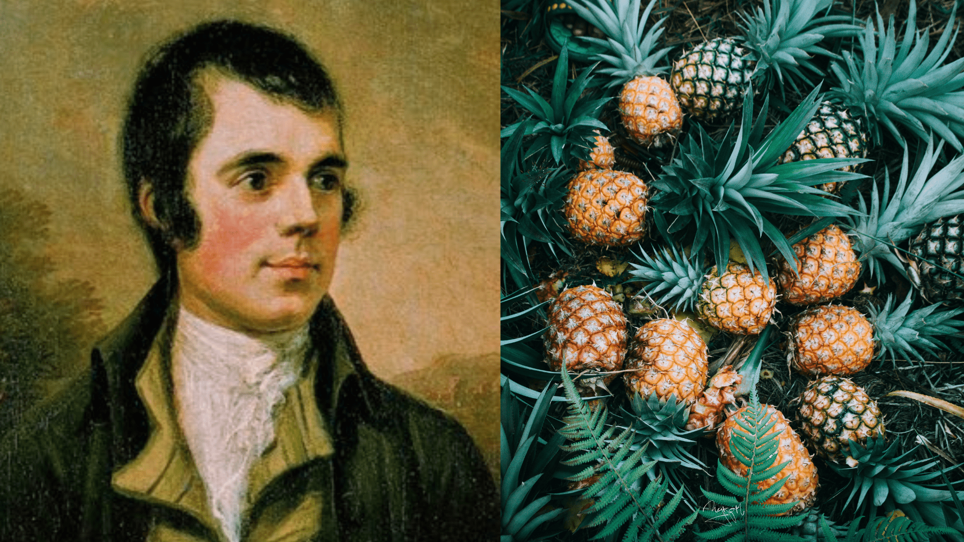 1920x1080 Robert Burns & The Royal History of Pineapples Tours Ltd, Edinburgh, Scotland