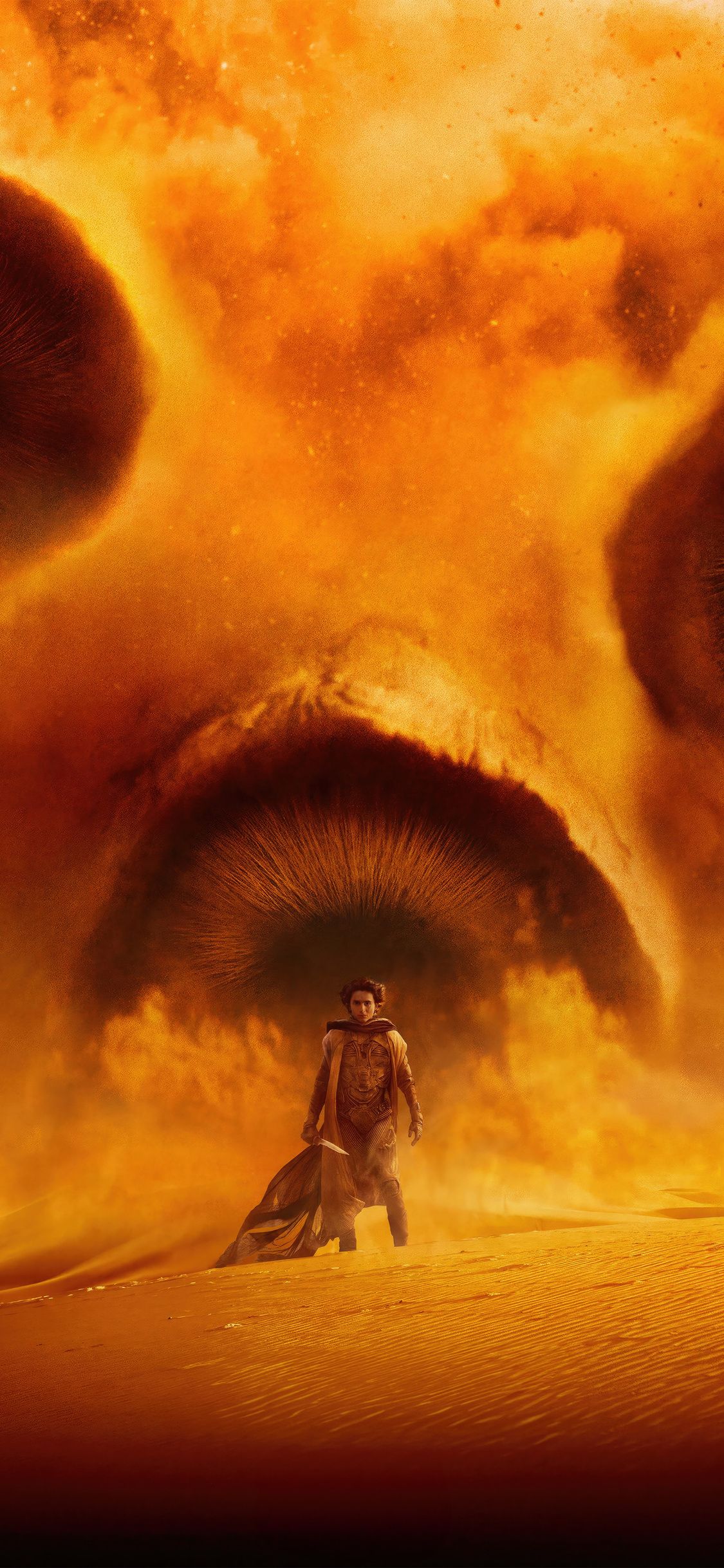 1125x2436 Dune Part 2 2024 iPhone XS, iPhone iPhone X , HD 4k Wallpaper, Image, Background, Photos and Picture