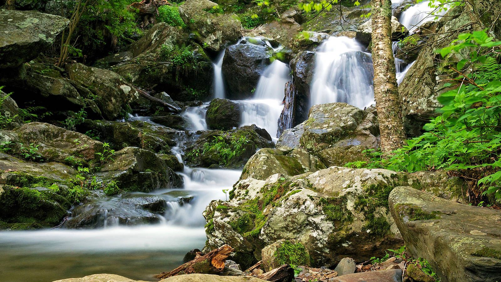 1600x900 Shenandoah · National Parks Conservation Association