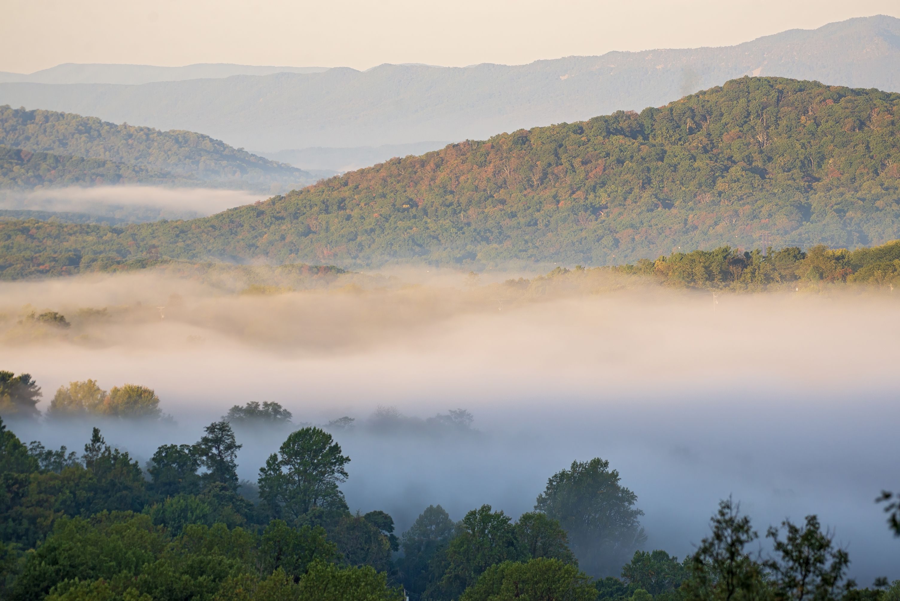 3008x2008 Shenandoah National Park Royal