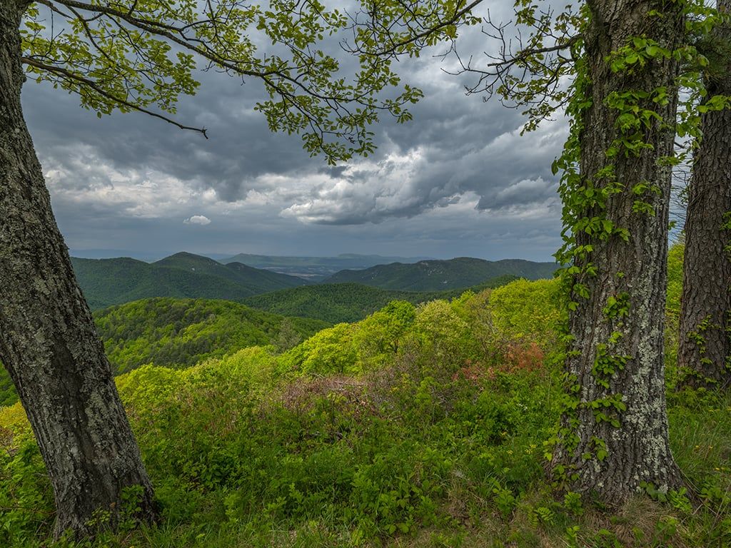 1024x768 Photography In The National Parks: A Shenandoah Spring