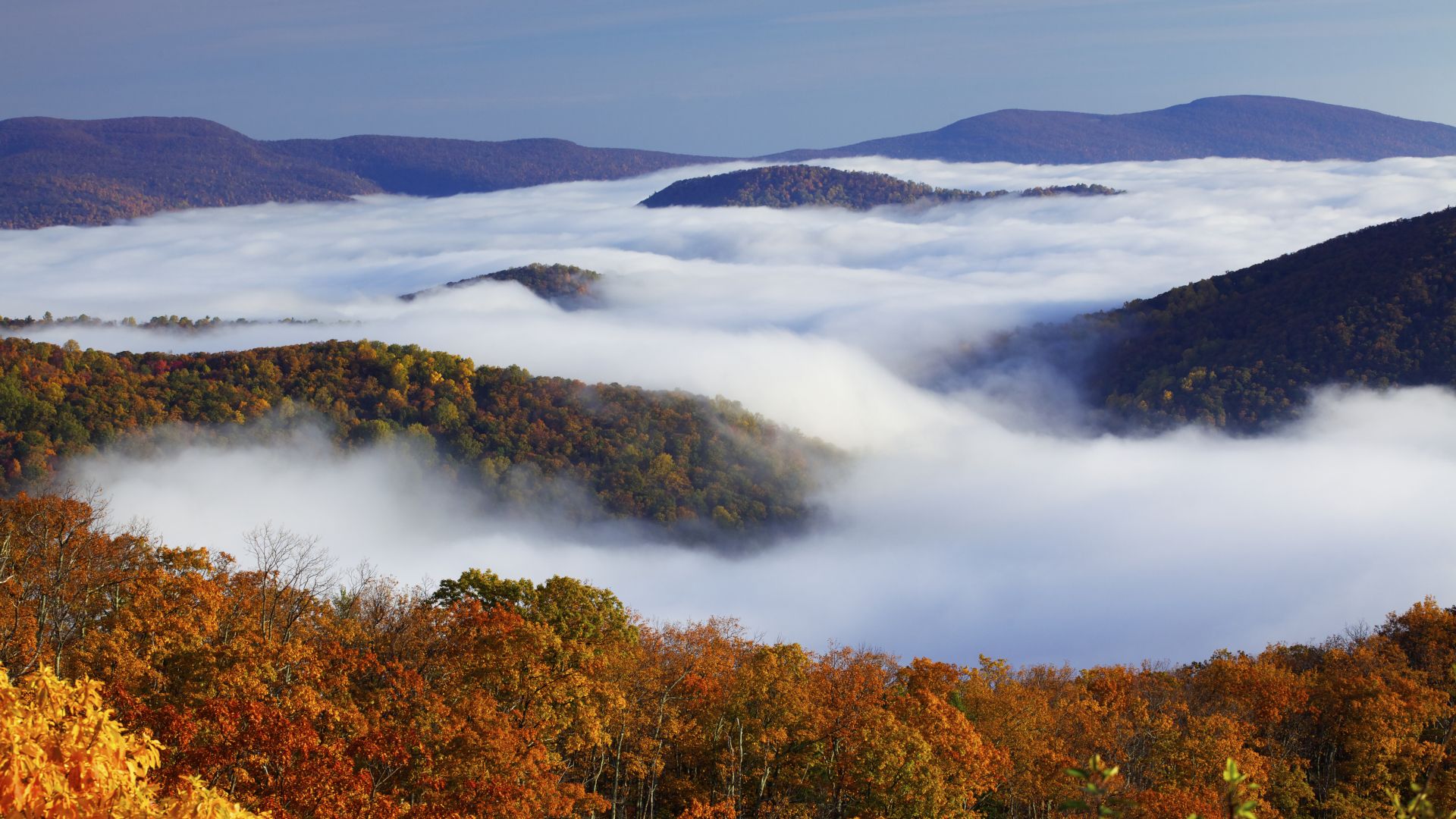 1920x1080 Best Hikes In Shenandoah National Park: A Mid Atlantic Oasis
