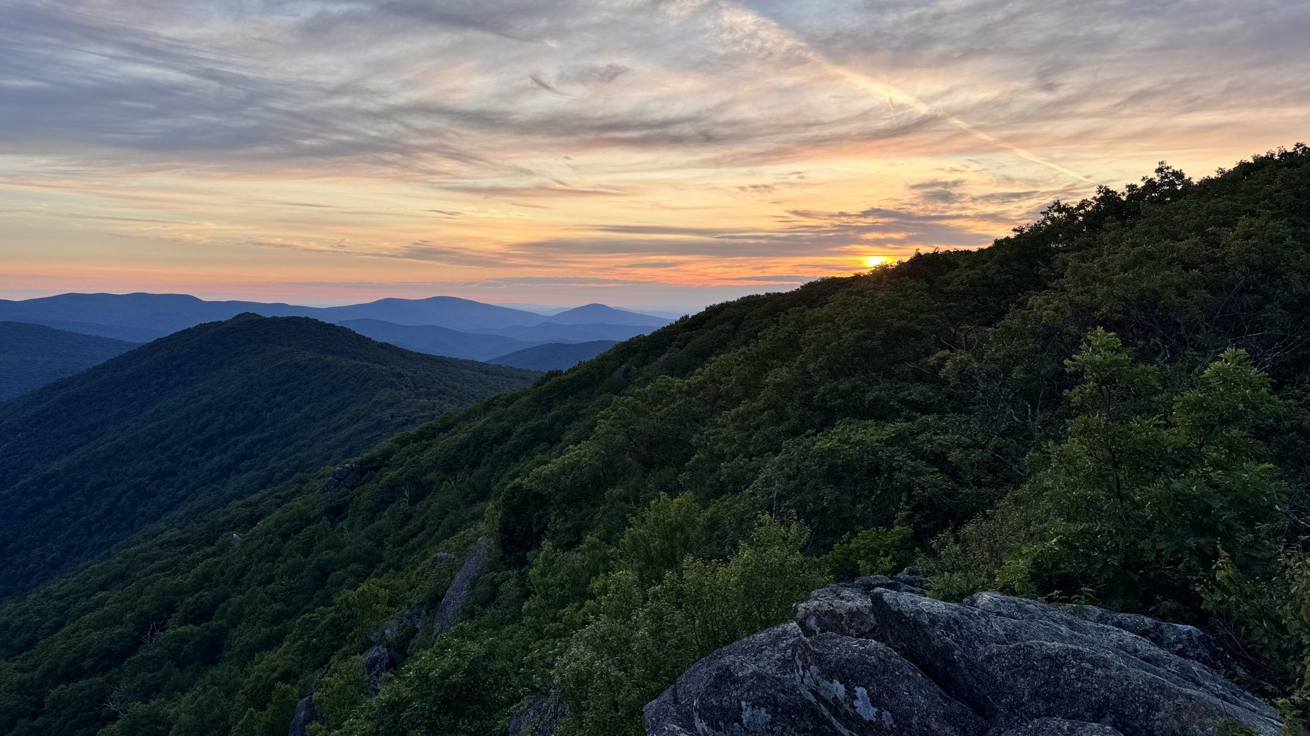 2560x1440 Splurging In Shenandoah