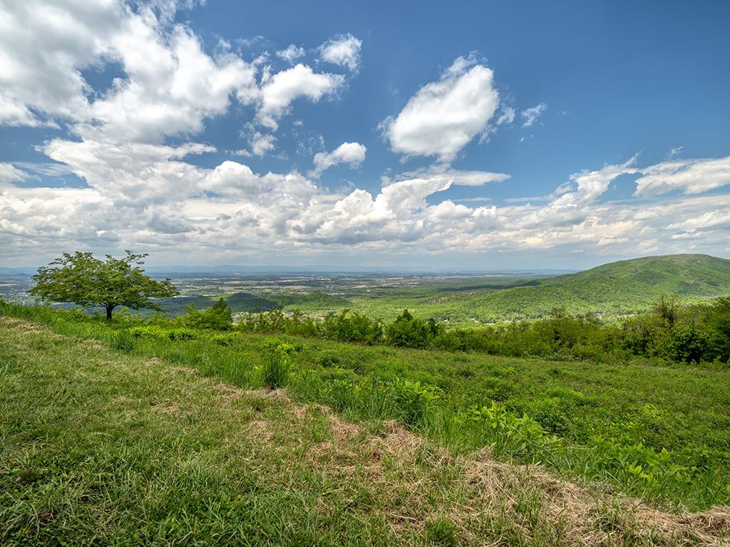 1024x768 Photography In The National Parks: A Shenandoah Spring