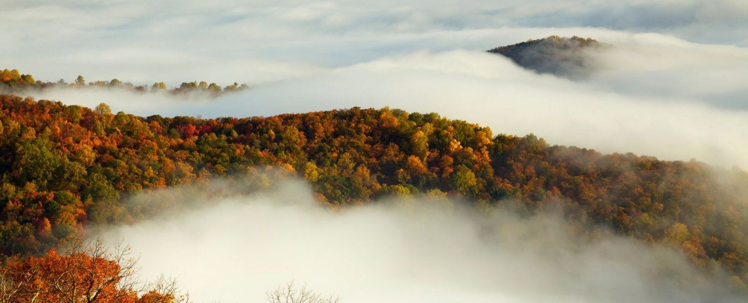 1500x609 Shenandoah National Park: What to Know and See for an Amazing Time Bridge shenandoah national park