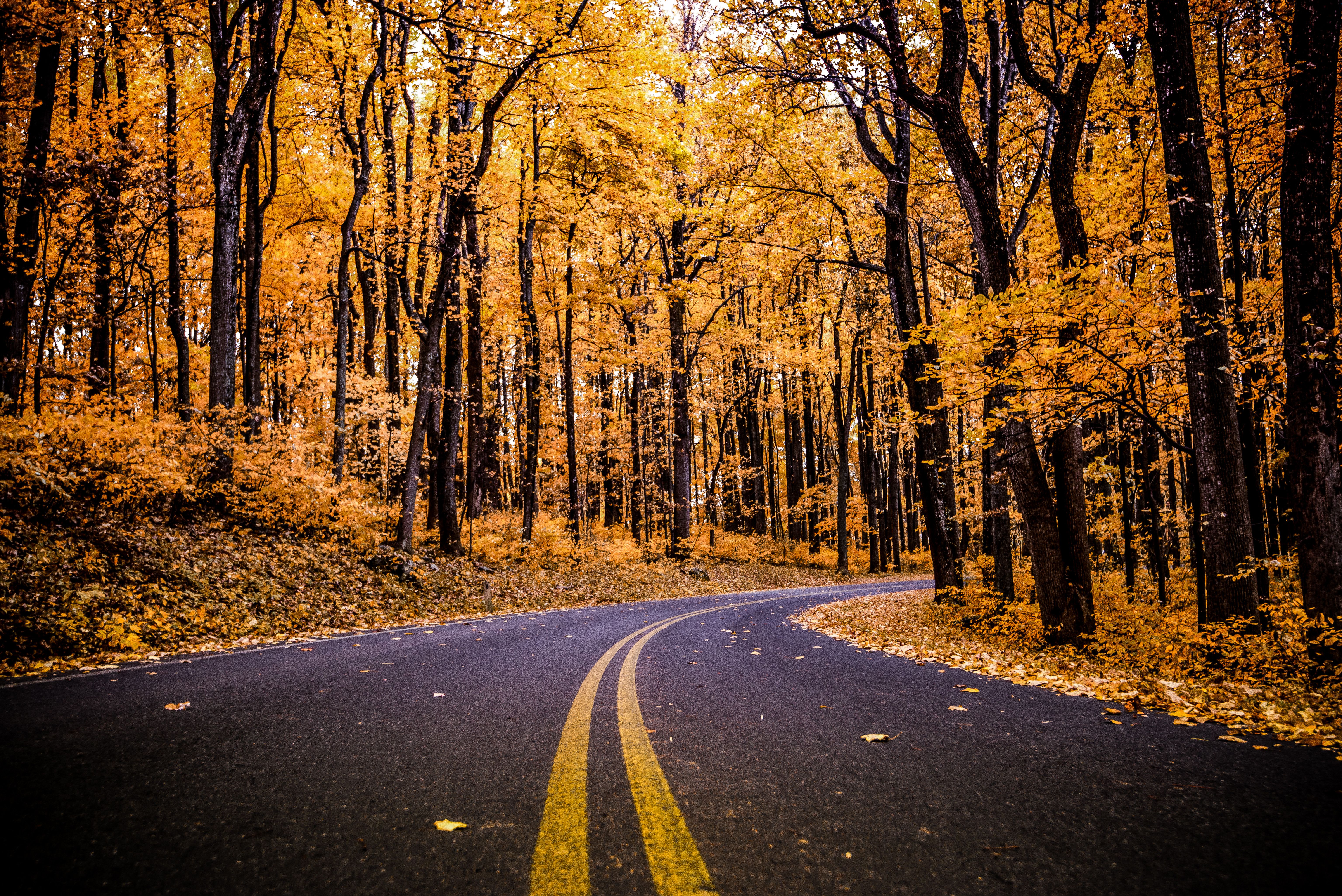 6144x4100 Shenandoah National Park Wallpaper 4K, Virginia, United States