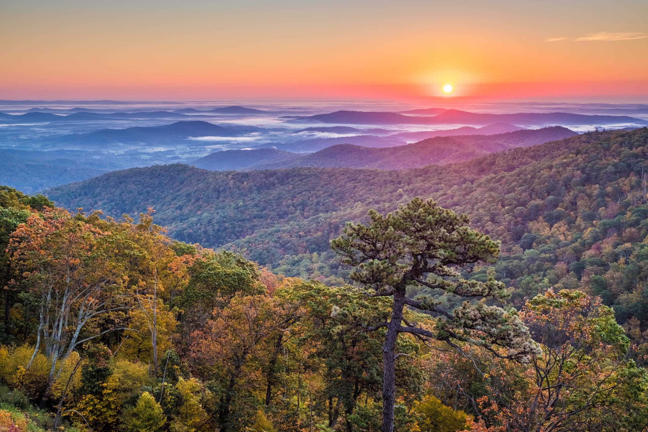 2560x1707 The Best National Parks for Fall Foliage Adventures