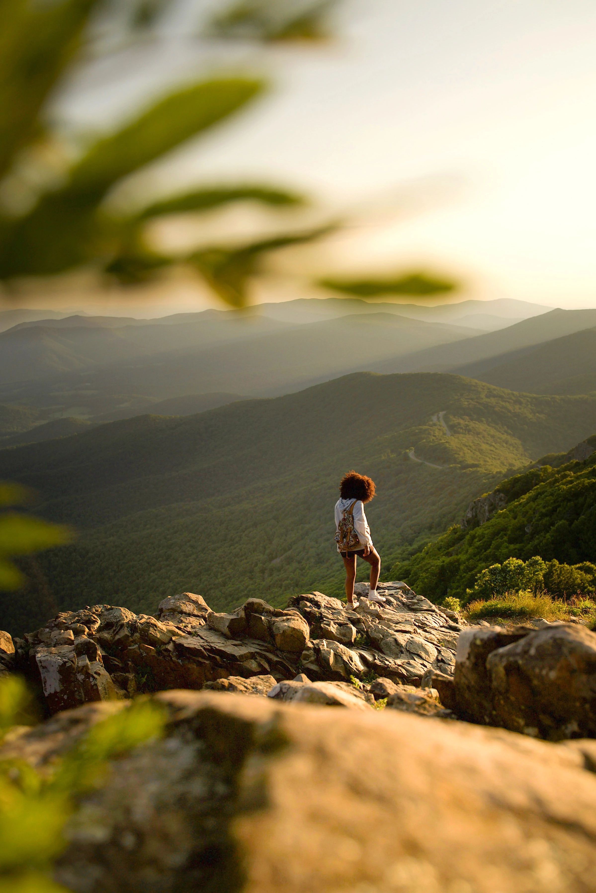 2398x3592 Shenandoah National Park Is For Lovers