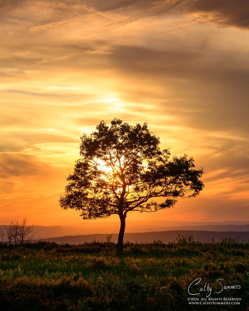 864x1080 Shenandoah National Park