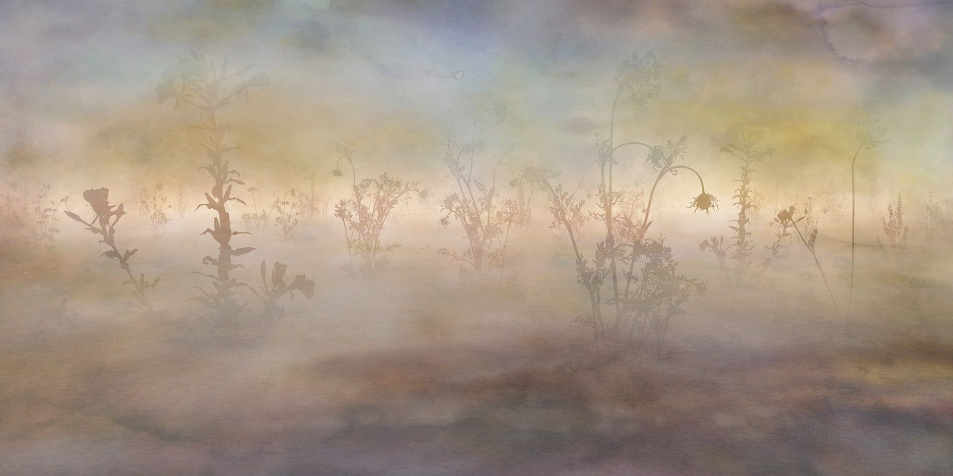 1920x960 Wild Pastel Flowers Misty Nature Wallpaper Murals
