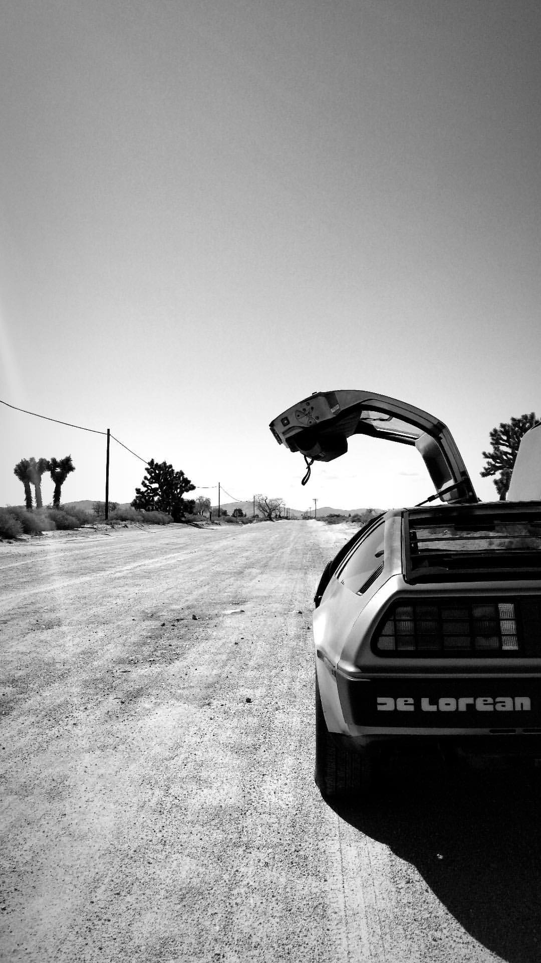 1080x1920 DeLorean [1080 x 1920]