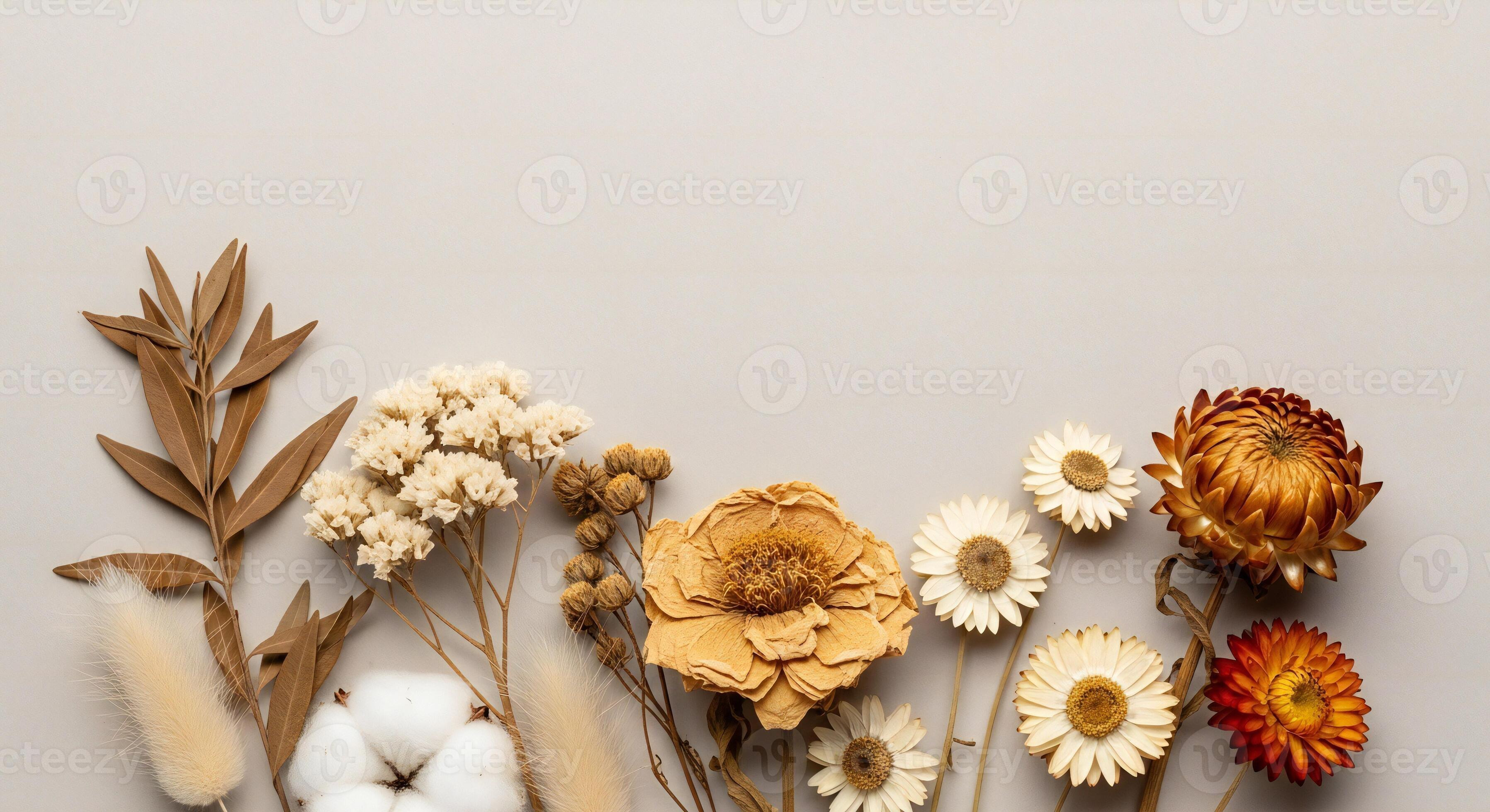 3593x1960 Flowers background, Flowers wallpaper, Assortment of dried flowers and botanical elements arranged on a neutral background