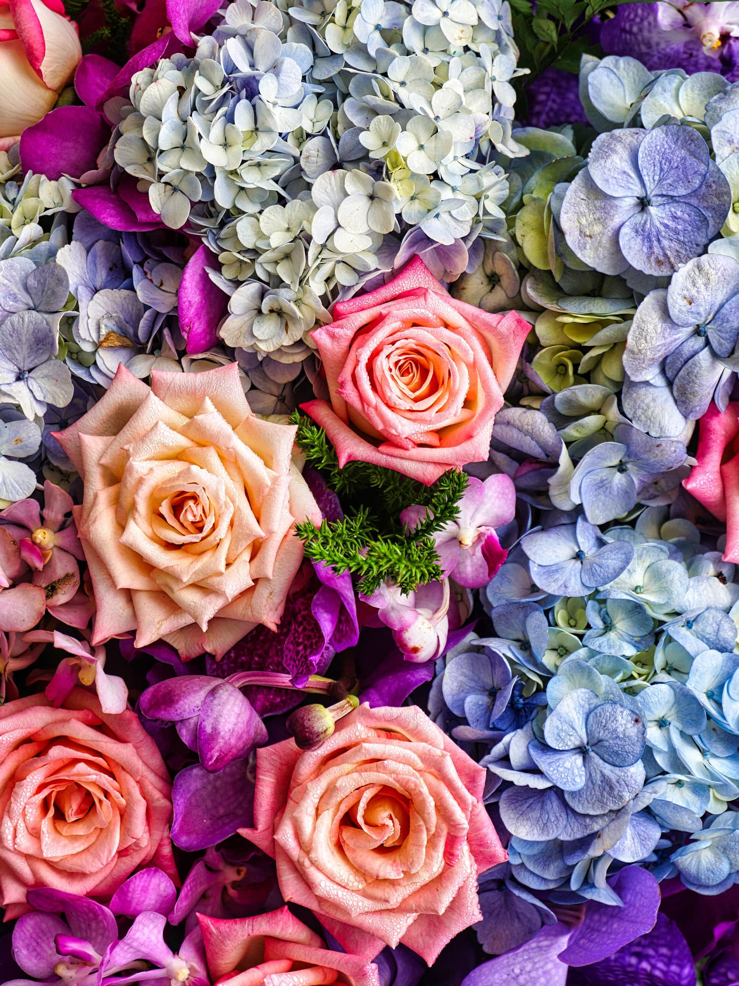 1500x2000 Flowers & Fancies. Baltimore Flower Delivery & Owings Mills Florist