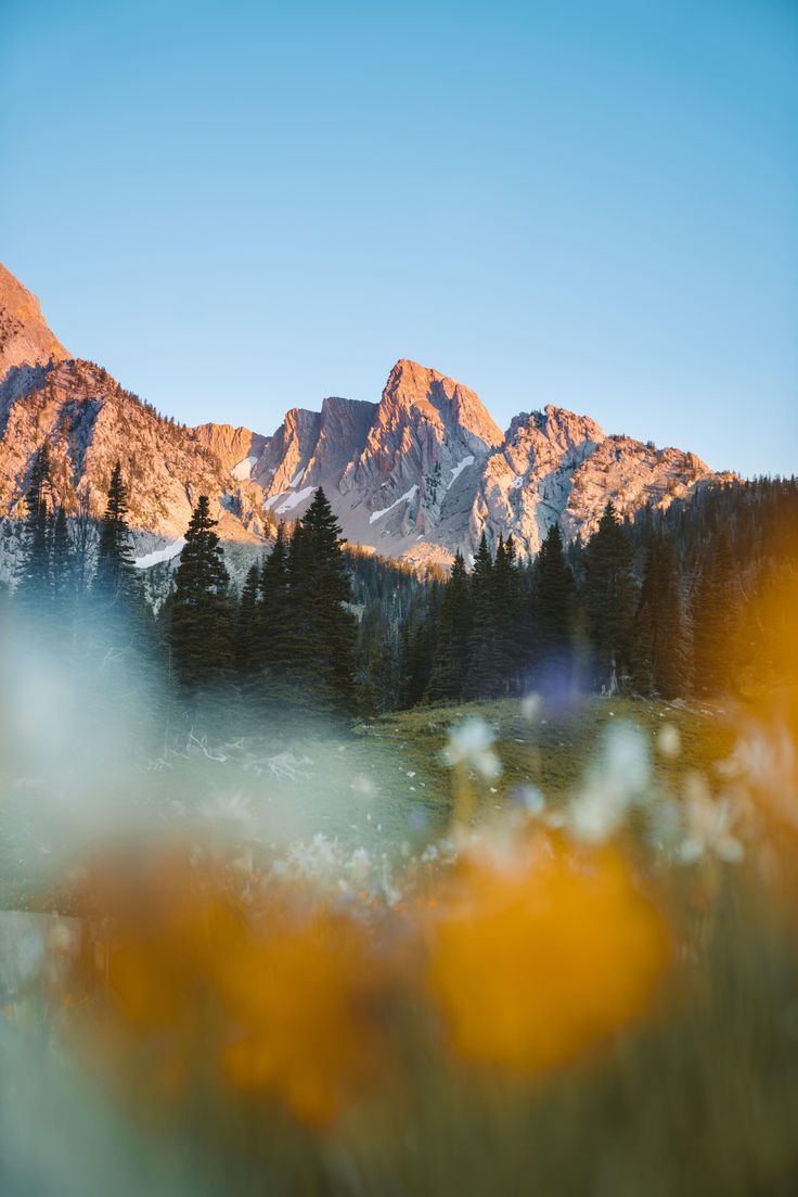 736x1103 INCREDIBLE Mobile Background: North Bridgers Sunrise outside of Bozeman, Montana. [5304 x 7952] [OC]