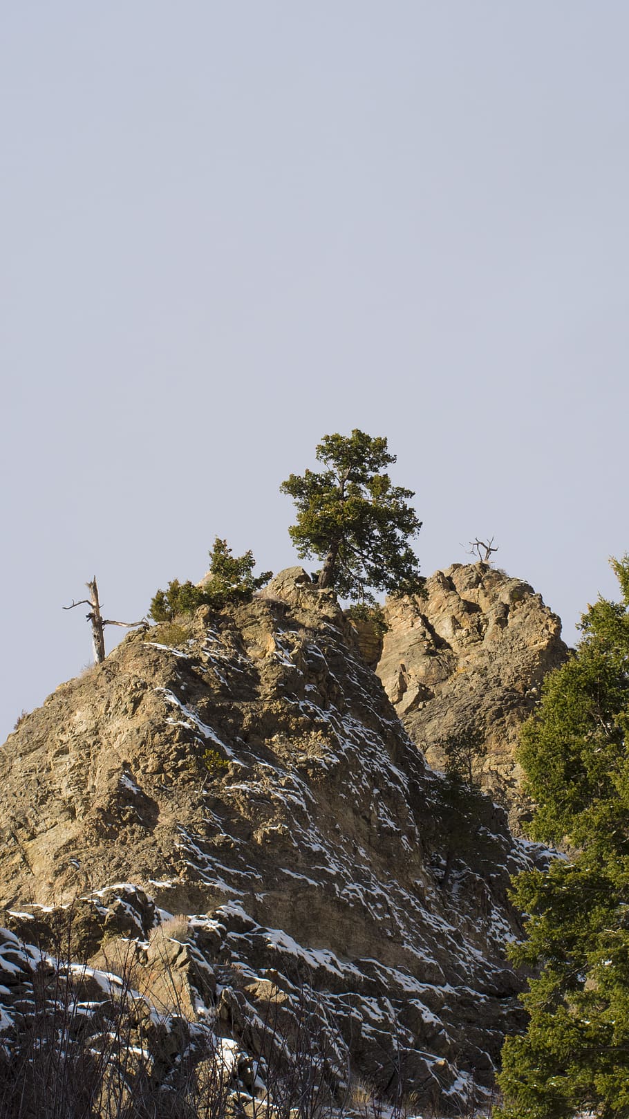 910x1618 Bozeman 1080P, 2K, 4K, 5K HD wallpaper free download