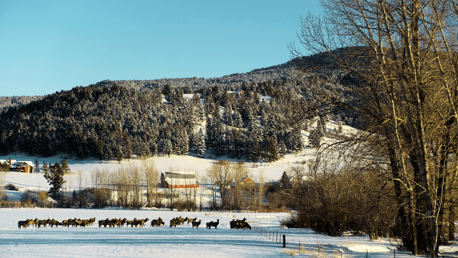 1600x900 Favorite Bozeman Neighborhoods on the outskirts Montana Realty. Life in Bozeman MT