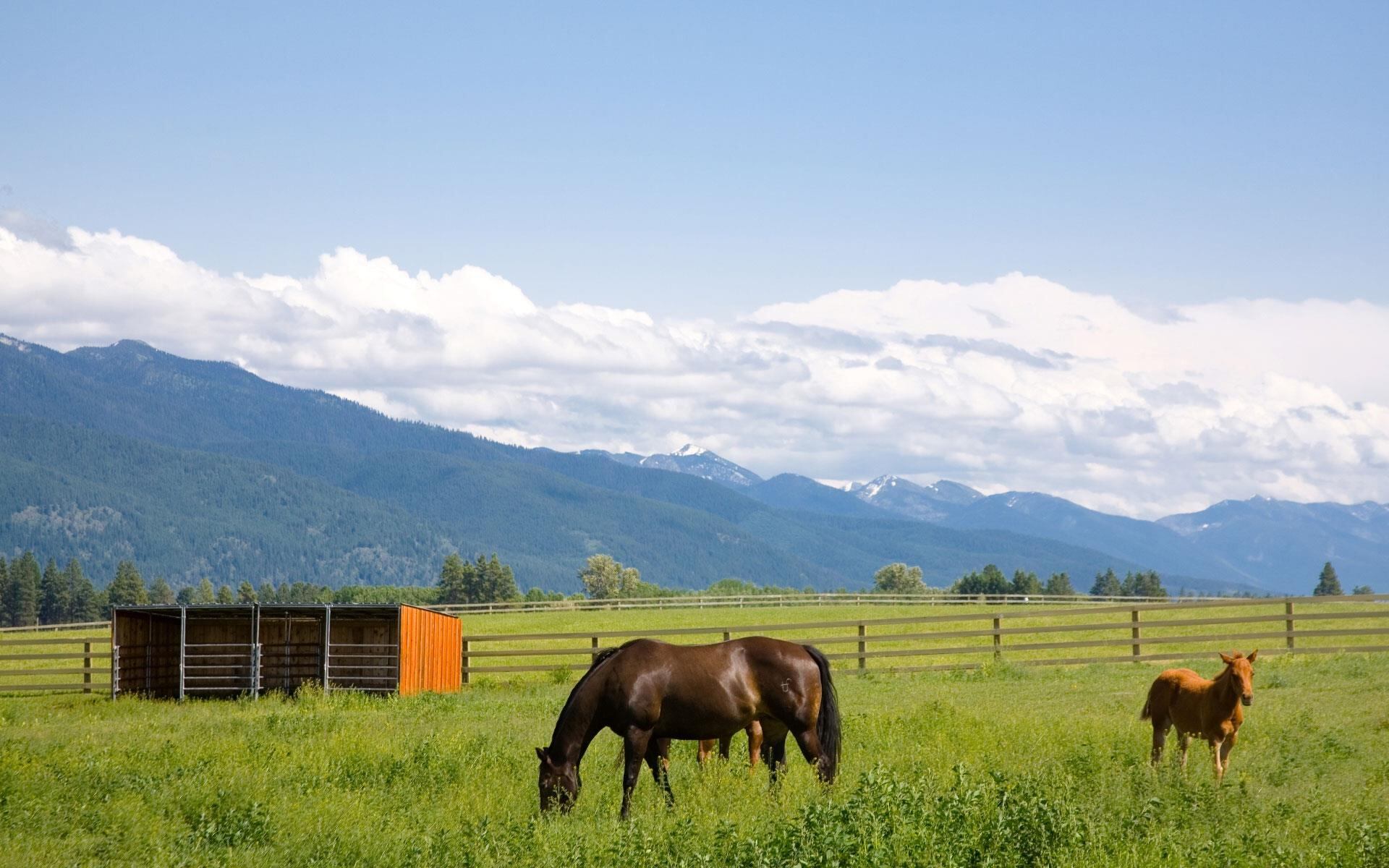 1920x1200 Living in Bozeman: Things to Do and See in Bozeman, MT. Christie's International Real Estate
