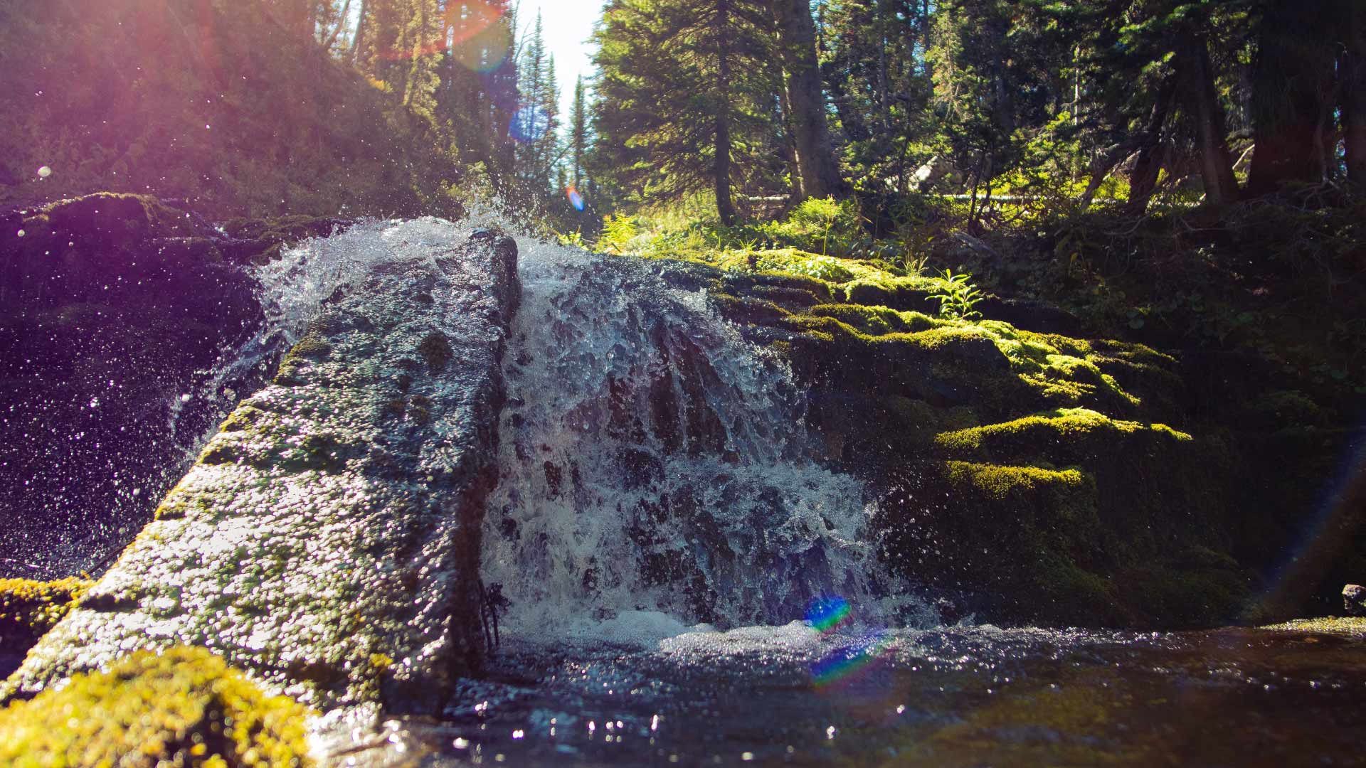 1920x1080 Why Our Downtown Bozeman Hotel Is A Great Place To Stay