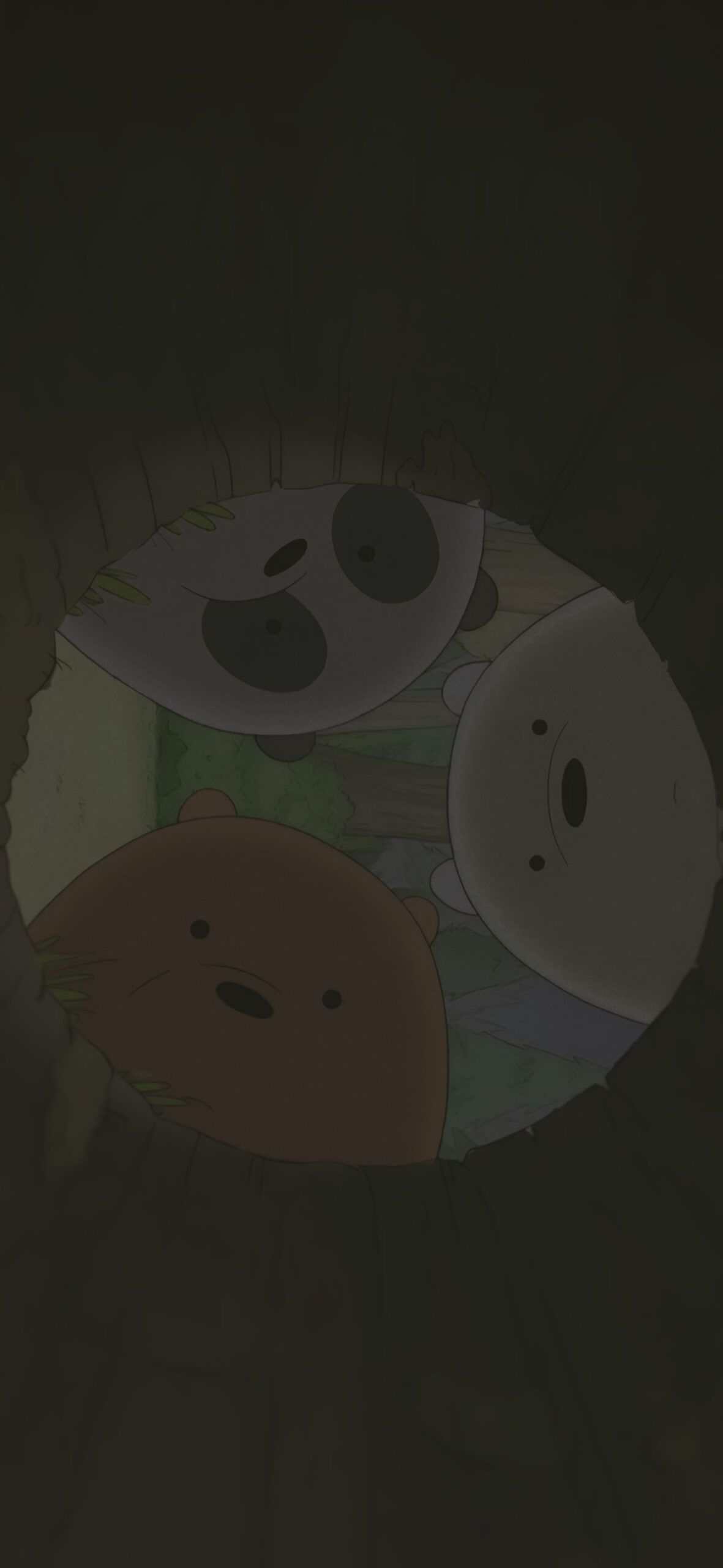 1181x2560 We Bare Bears Curious Wallpaper Cartoon Wallpaper HD