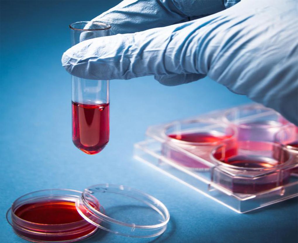 1019x830 Forensic Toxicology Science Institute