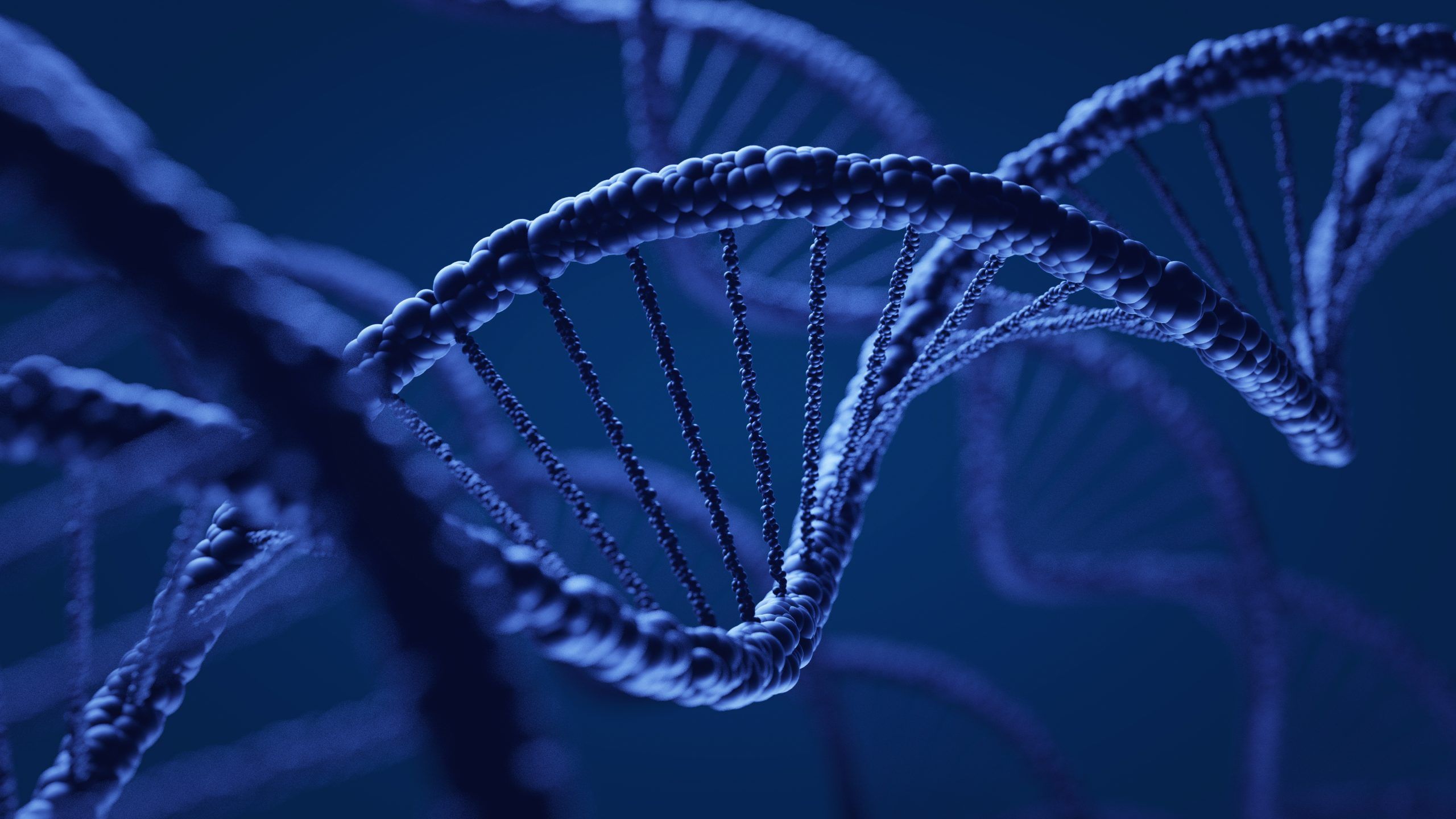 2560x1440 Toxicology and Human Health Risks