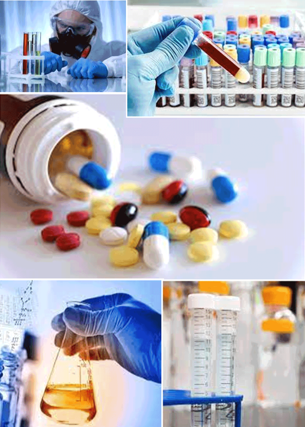 1000x1400 Prospectus Graduate Diploma Executive Diploma In Regulatory Toxicology (PGDRT EDRT)