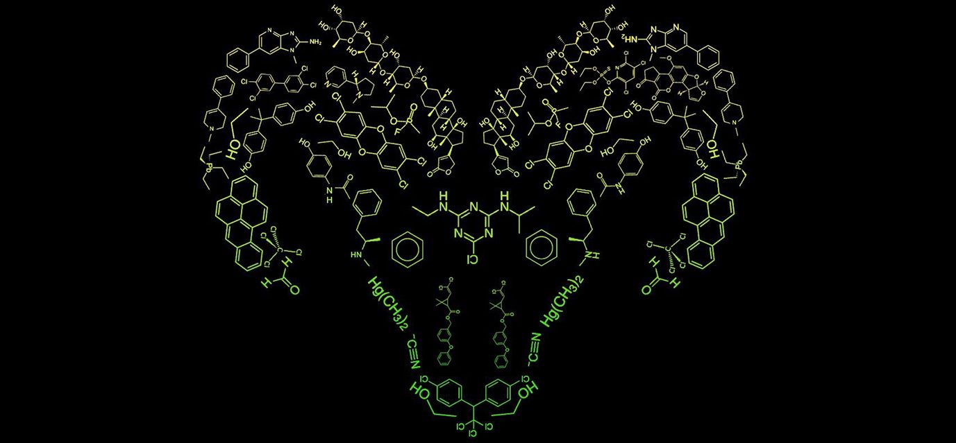 1377x639 Toxicology Ram: This mascot is killin' it. Colorado State University