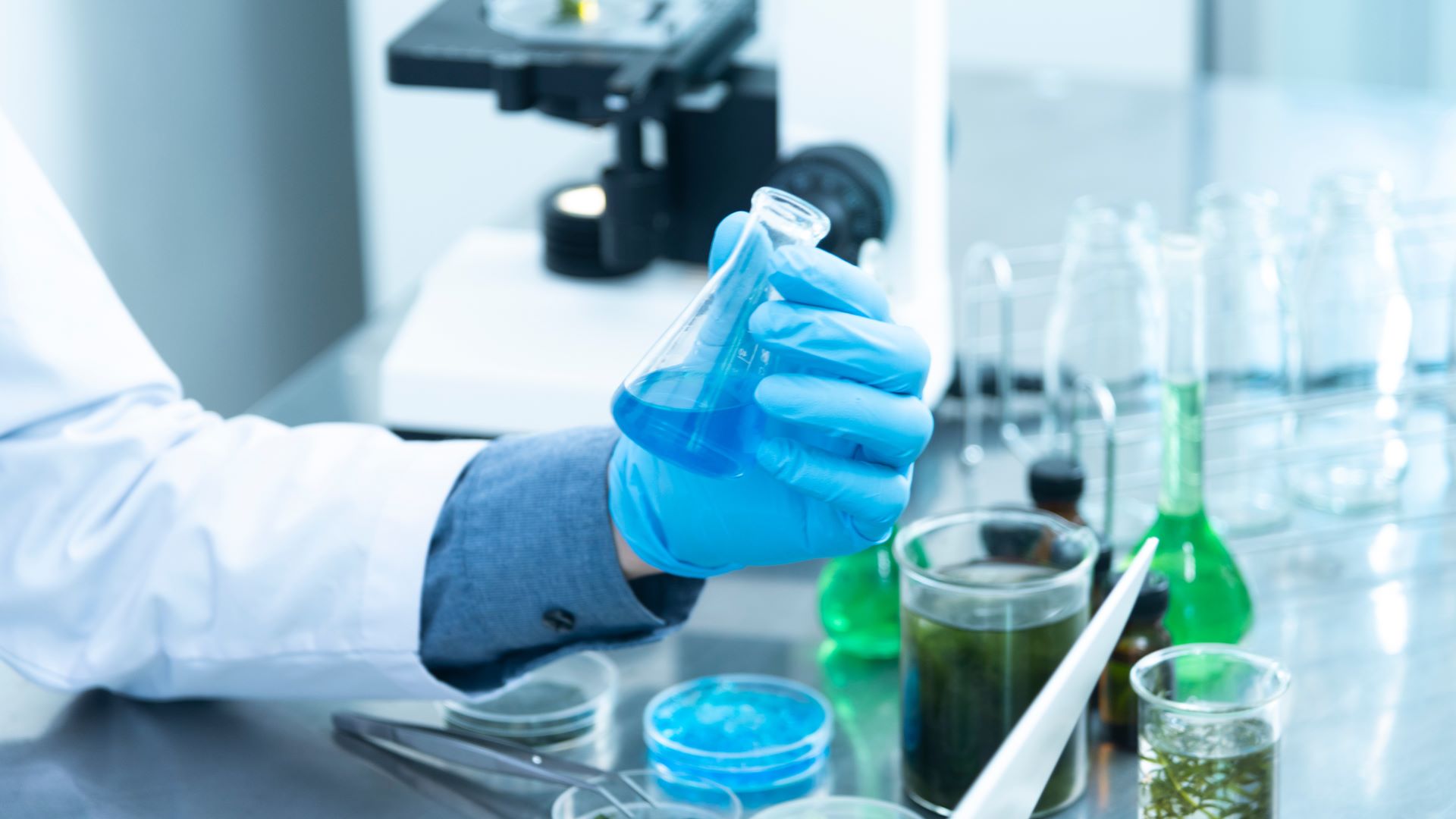 1920x1080 What is the Point of a Forensic Toxicology Examination?