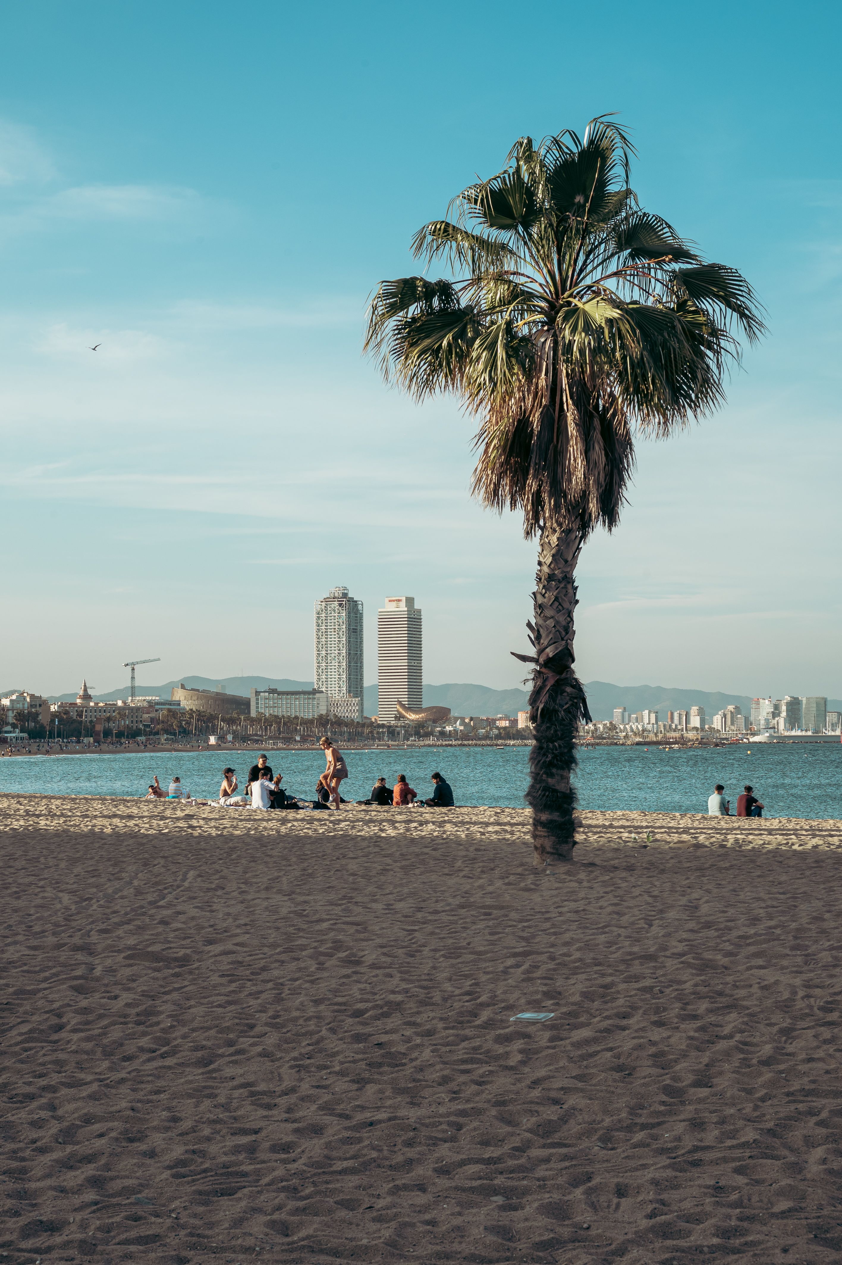 2832x4252 Barceloneta Beach Photo, Download The BEST Free Barceloneta Beach & HD Image